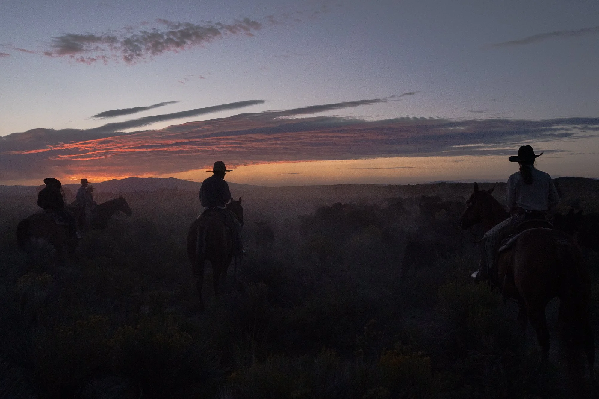 Cowboys on horseback moving cattle across the Nevada range at sunset, silhouetted against a red and purple sky.