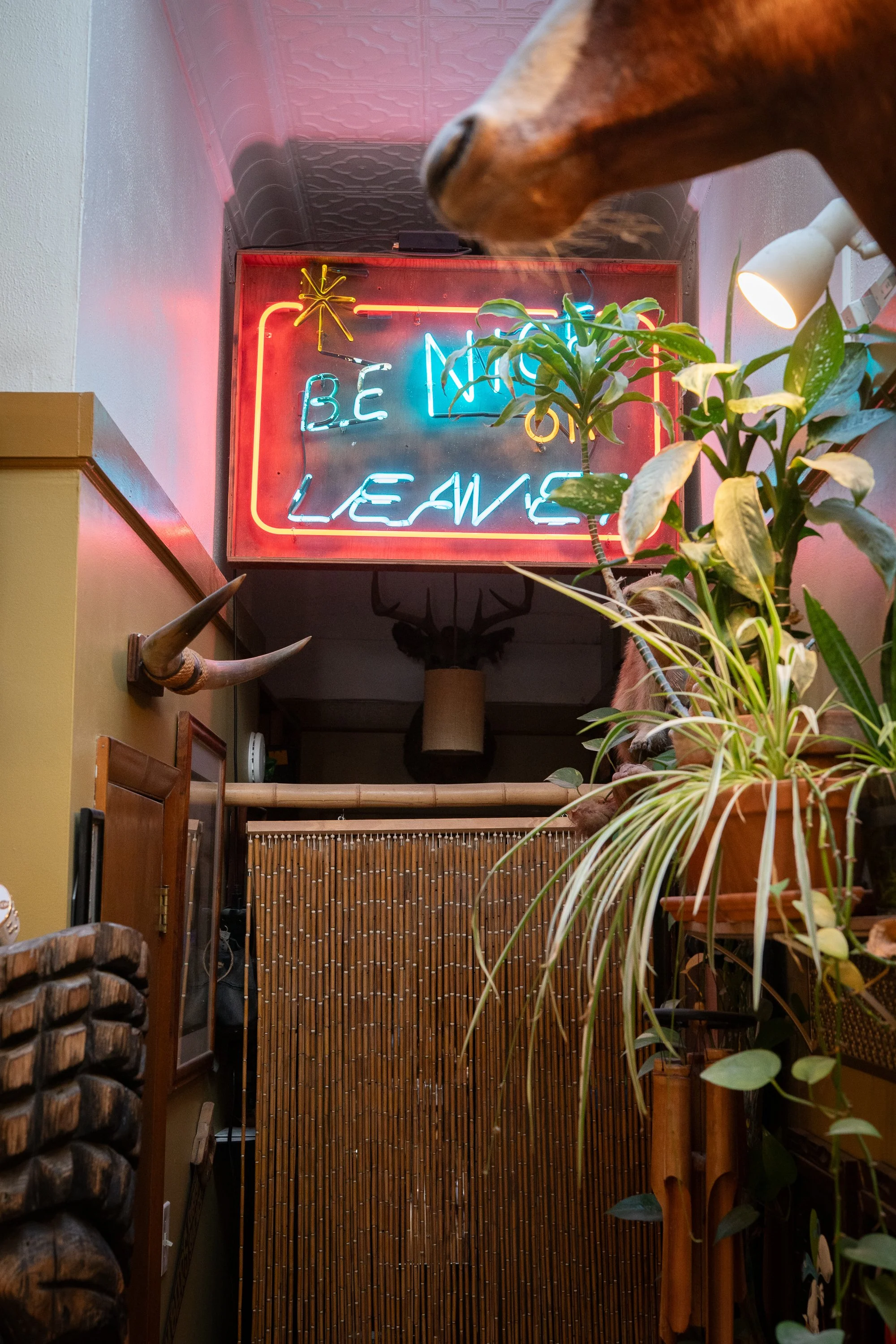 Neon “Be Nice or Leave” sign surrounded by plants and vintage barbershop decor.