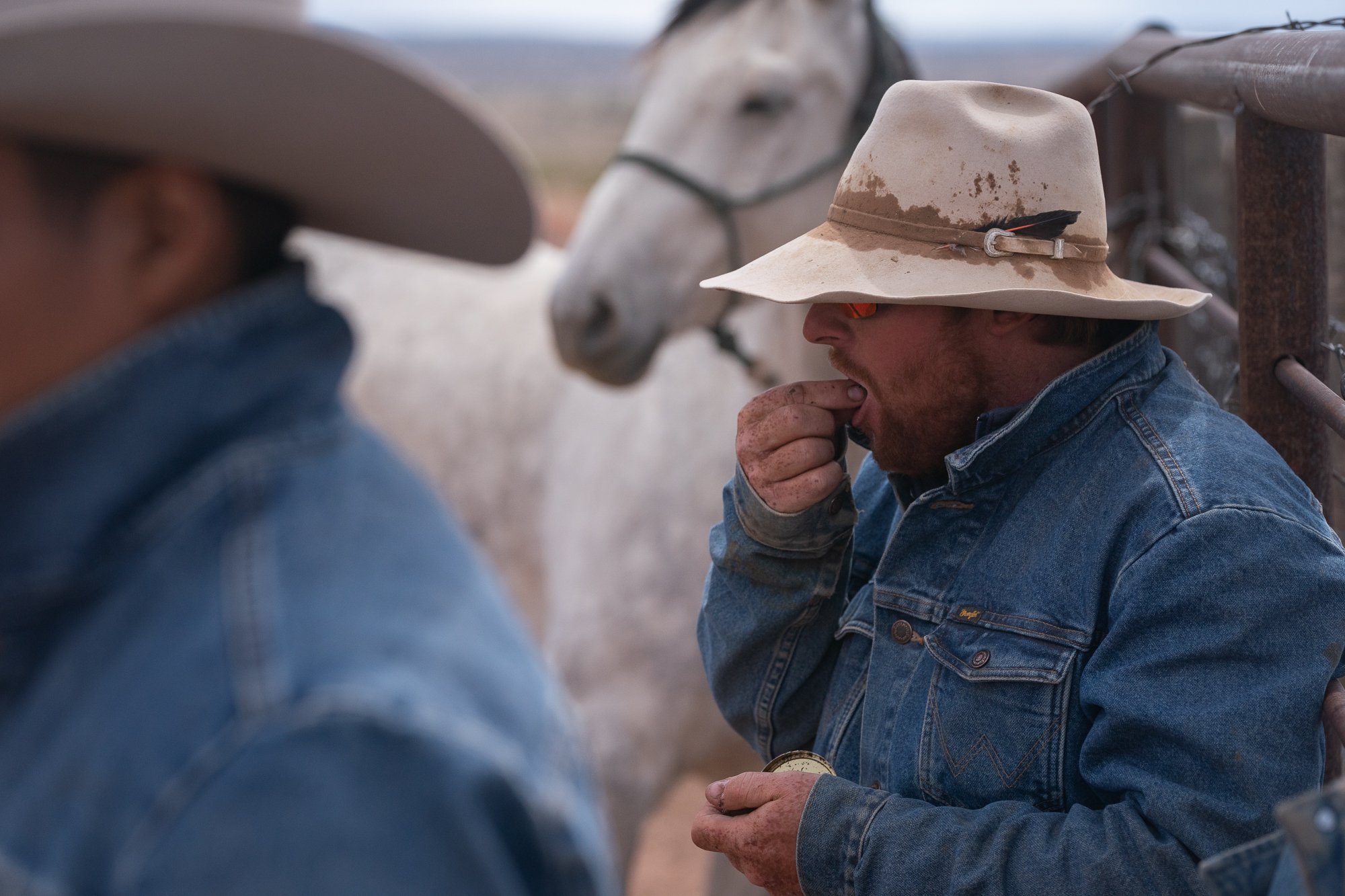 Cowboy standing near a white horse at the Diamond A Ranch in Arizona