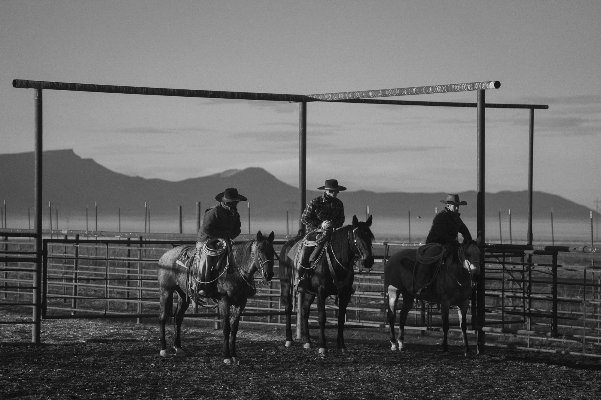 Group of buckaroos on horseback waiting in cattle pens at TS Ranch