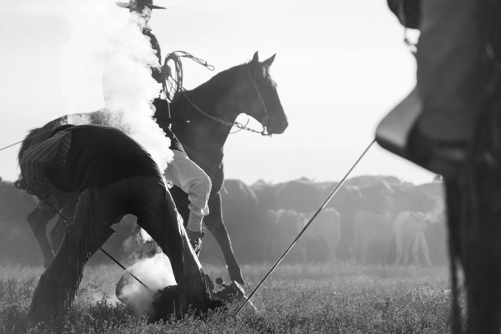 A cowboy on horseback works cattle in black and white as dust and backlight move through the scene