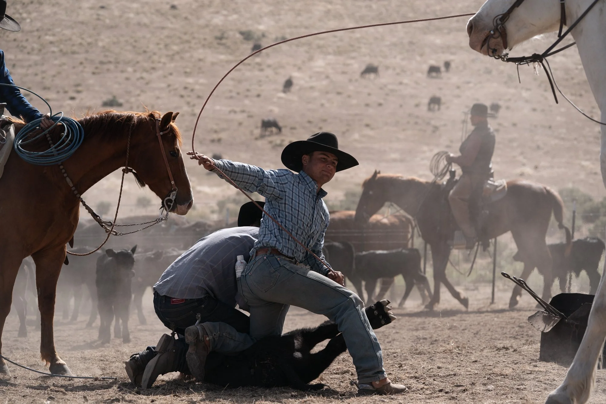 Cowboy roping and restraining a calf during branding work on a dusty ranch, with other cowboys and horses nearby.