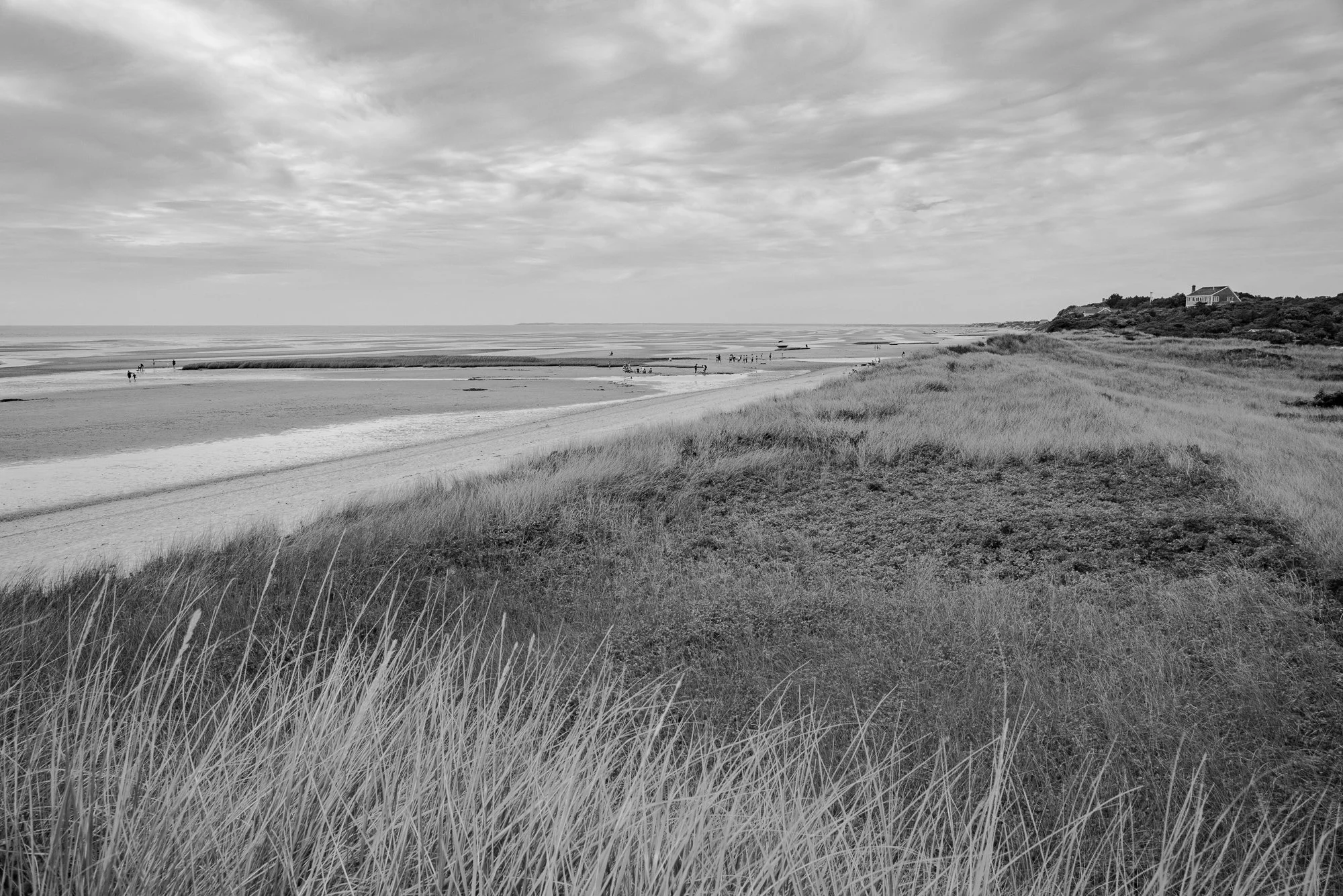 Black and white landscape of Cape Cod dunes and shoreline with distant figures along the water
