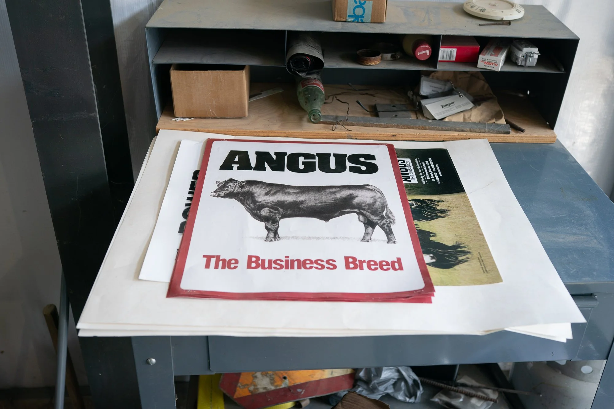 Angus cattle brochure with bull illustration on a desk at a Gardnerville Nevada bull sale