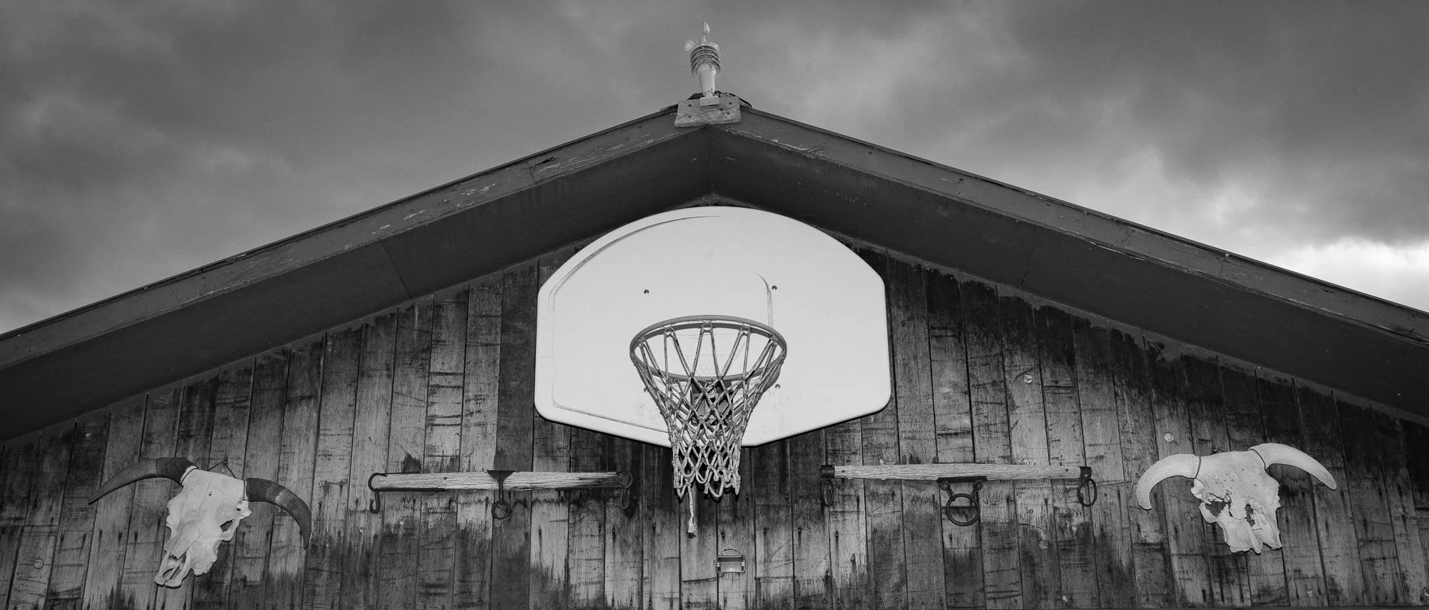 Basketball hoop mounted on a wooden ranch wall between two skulls