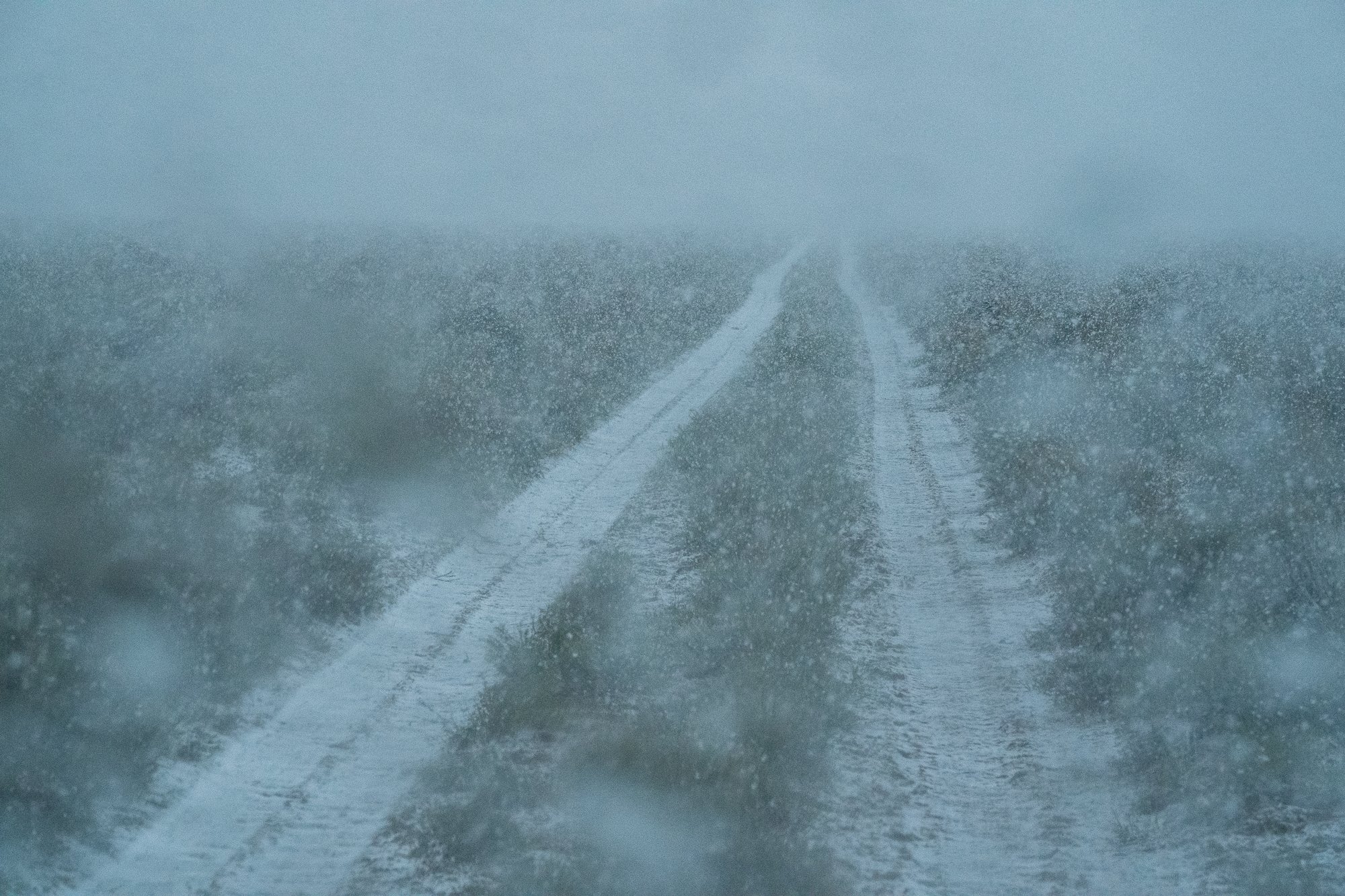 A snow-covered ranch road disappears into heavy weather on open ground near the ZX Ranch in Oregon