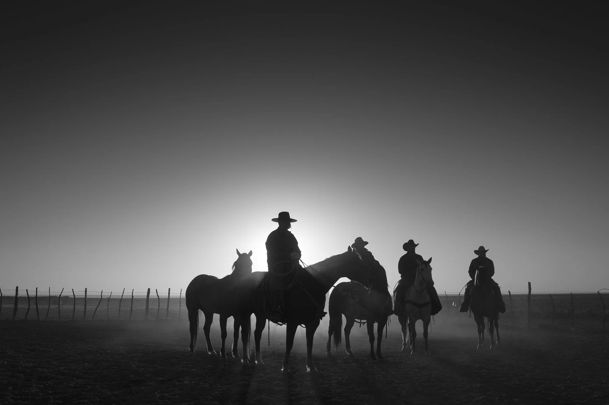 Cowboys on horseback silhouetted in dust and low light at the Diamond A Ranch