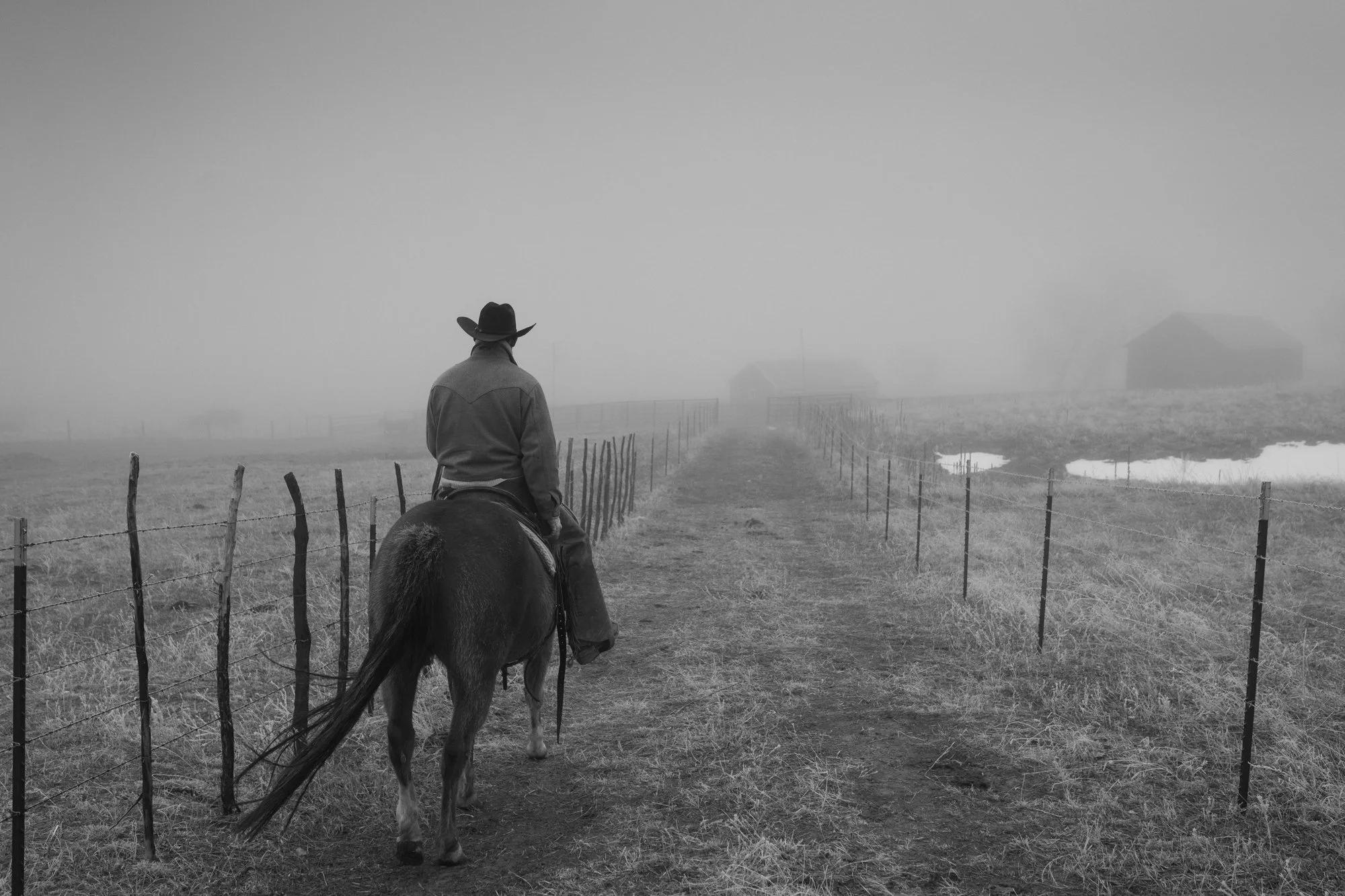 A cowboy rides horseback down a fenced ranch road on a foggy morning at Silver Spur Ranch in Colorado