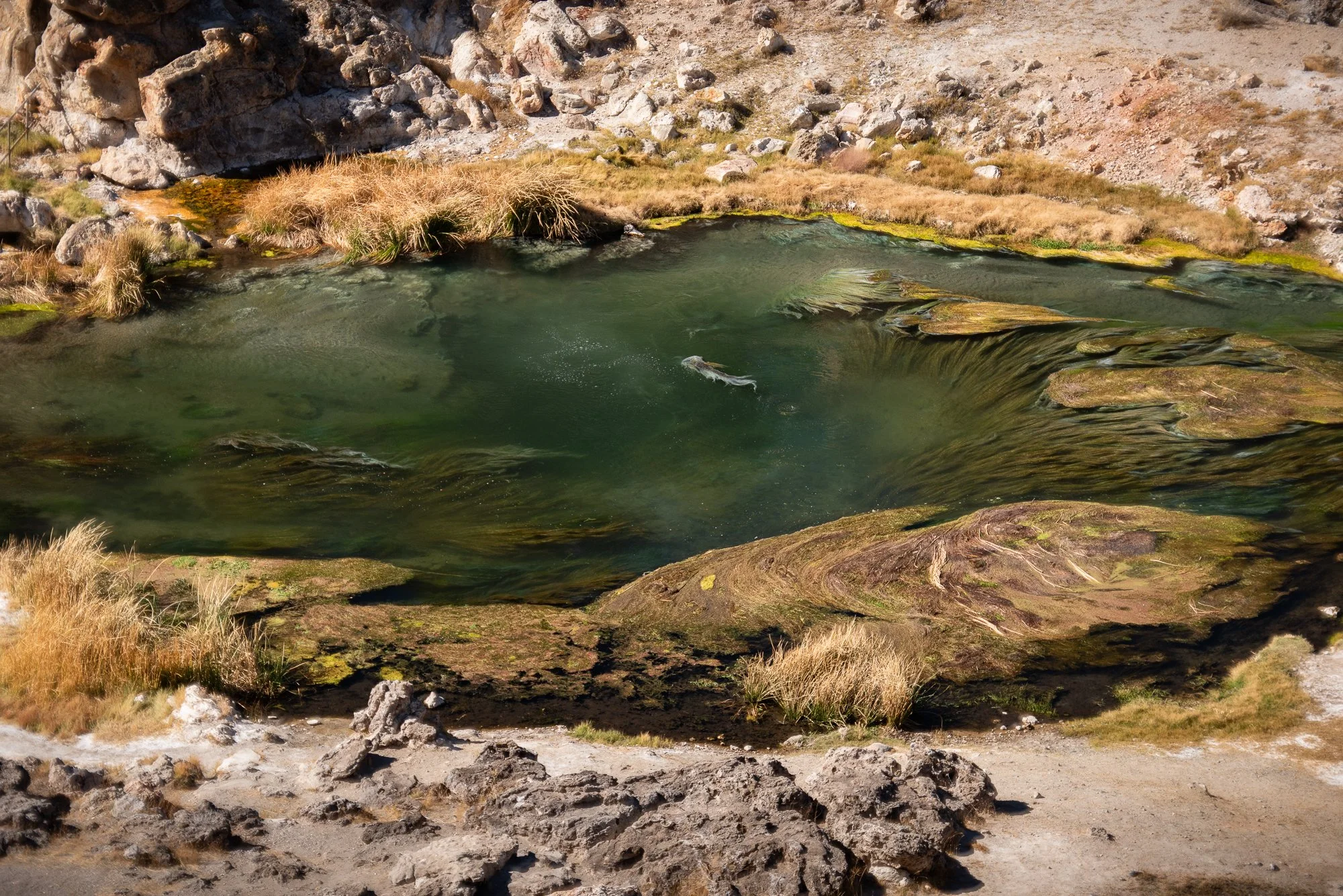 Photograph of the geothermal waters of Hot Creek near Mammoth, CA