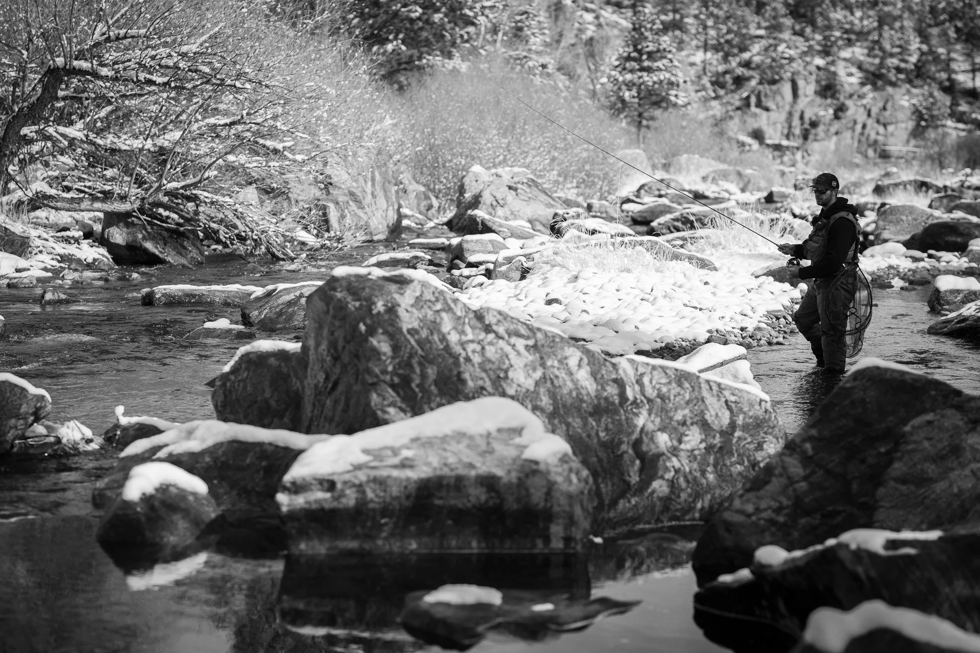 Black and white photograph of a fly fisherman in Big Thomson Canyon near Estes Park