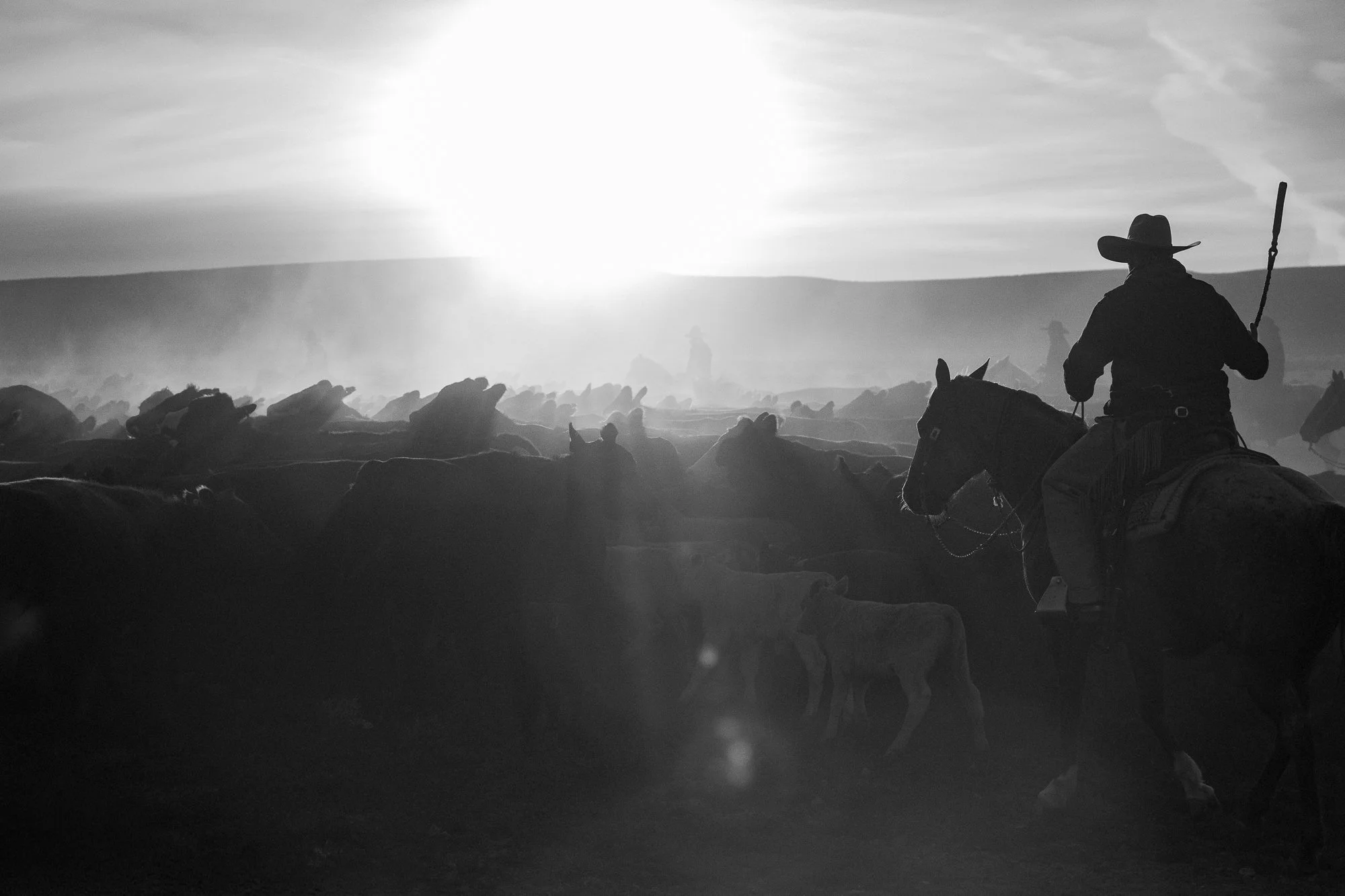 A cowboy on horseback watches over cattle in black and white as dust and sunlight fill the scene