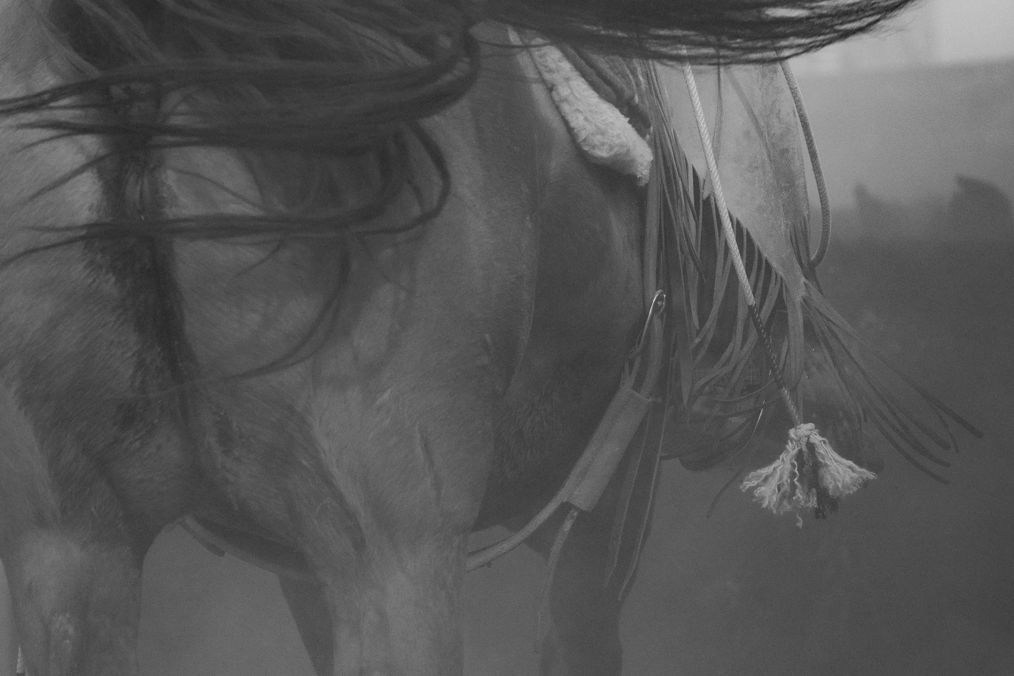 Close-up of horse and western tack in dusty ranch environment at TS Ranch