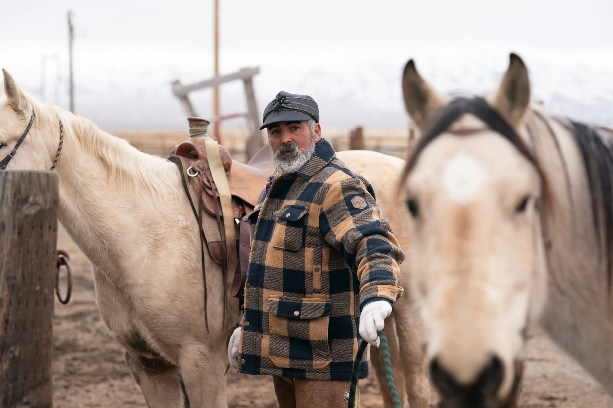 Cowboy standing with horses in cold weather wearing plaid jacket and gloves