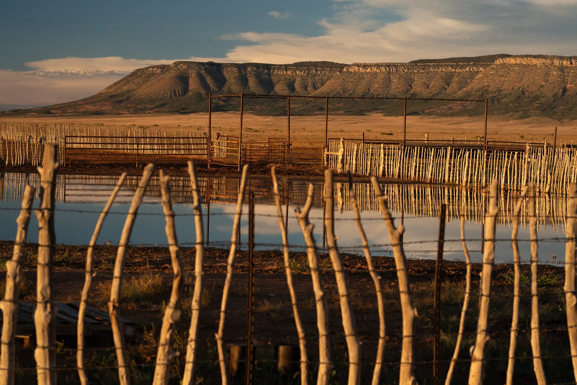 Wooden cattle corrals reflected in water on a western ranch landscape