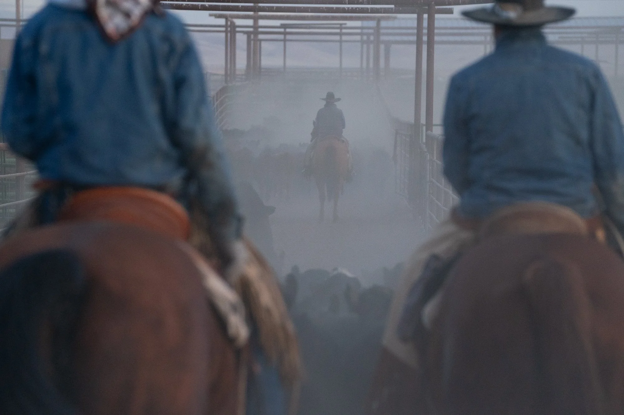 Cowboys pushing cattle through dusty pens at TS Ranch