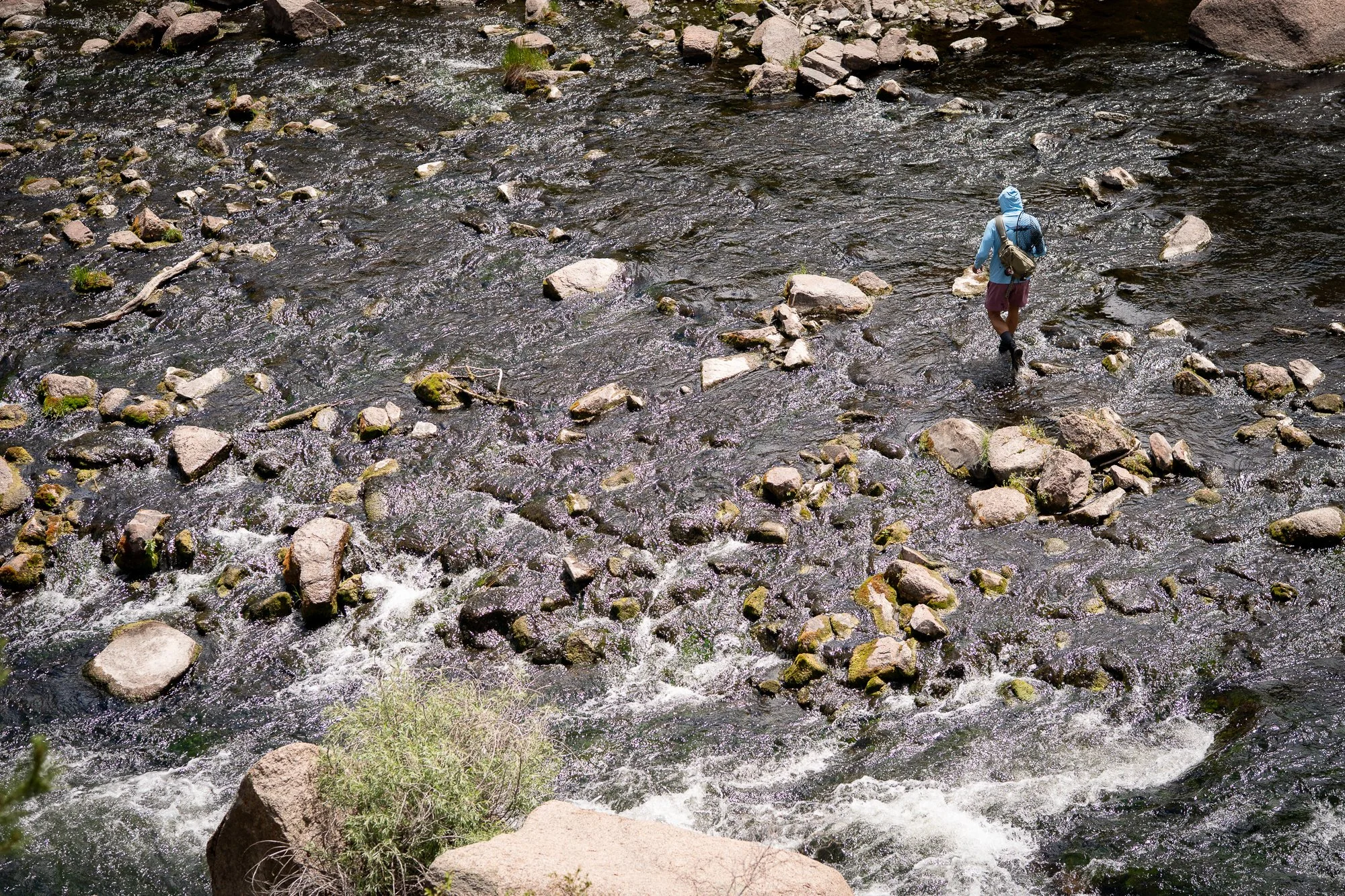 A fly angler wades through rocky moving water with a rod in hand