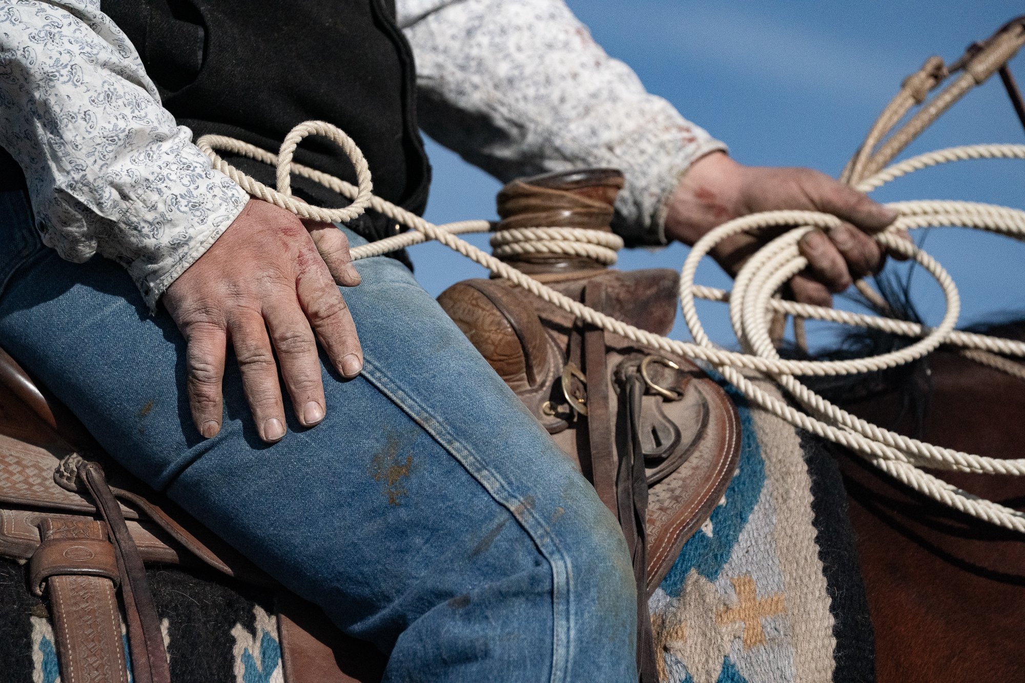A close detail of a cowboy holding rope from the saddle during ranch work at the ZX Ranch
