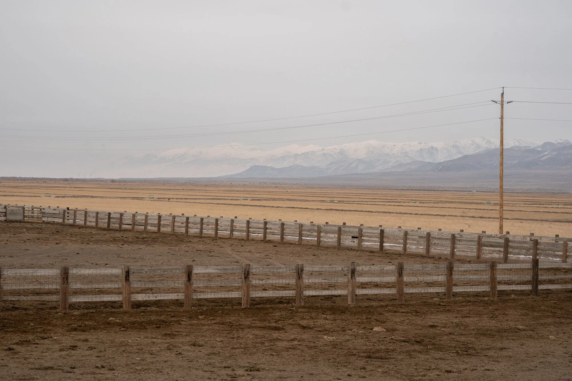 Curved wooden ranch fence and a utility pole crossing a flat Nevada basin under hazy skies, with snow-covered mountain ranges visible in the distance.