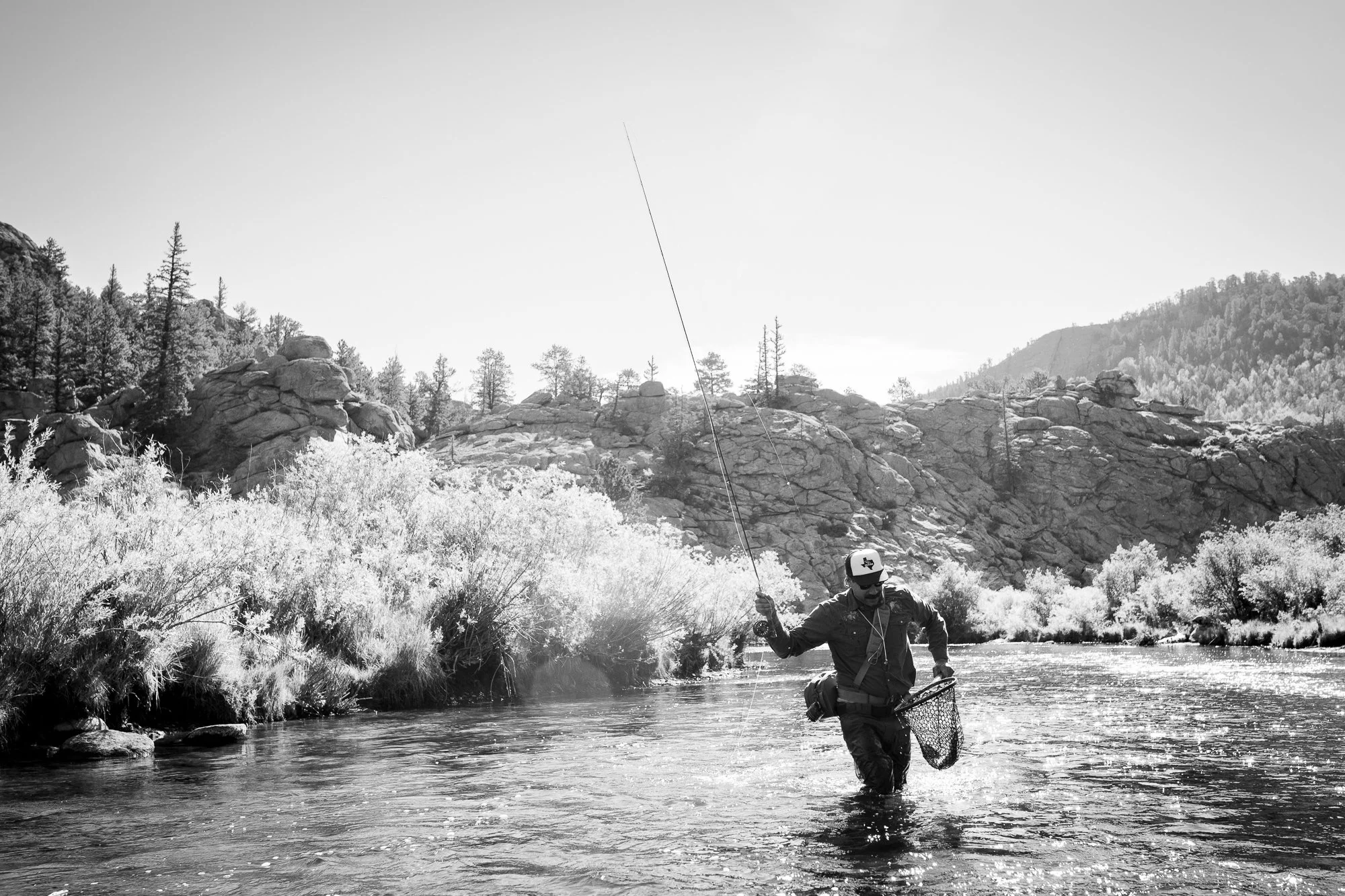 Black and white photo of a fly fisherman in 11 Mile Canyon with a large trout in his net