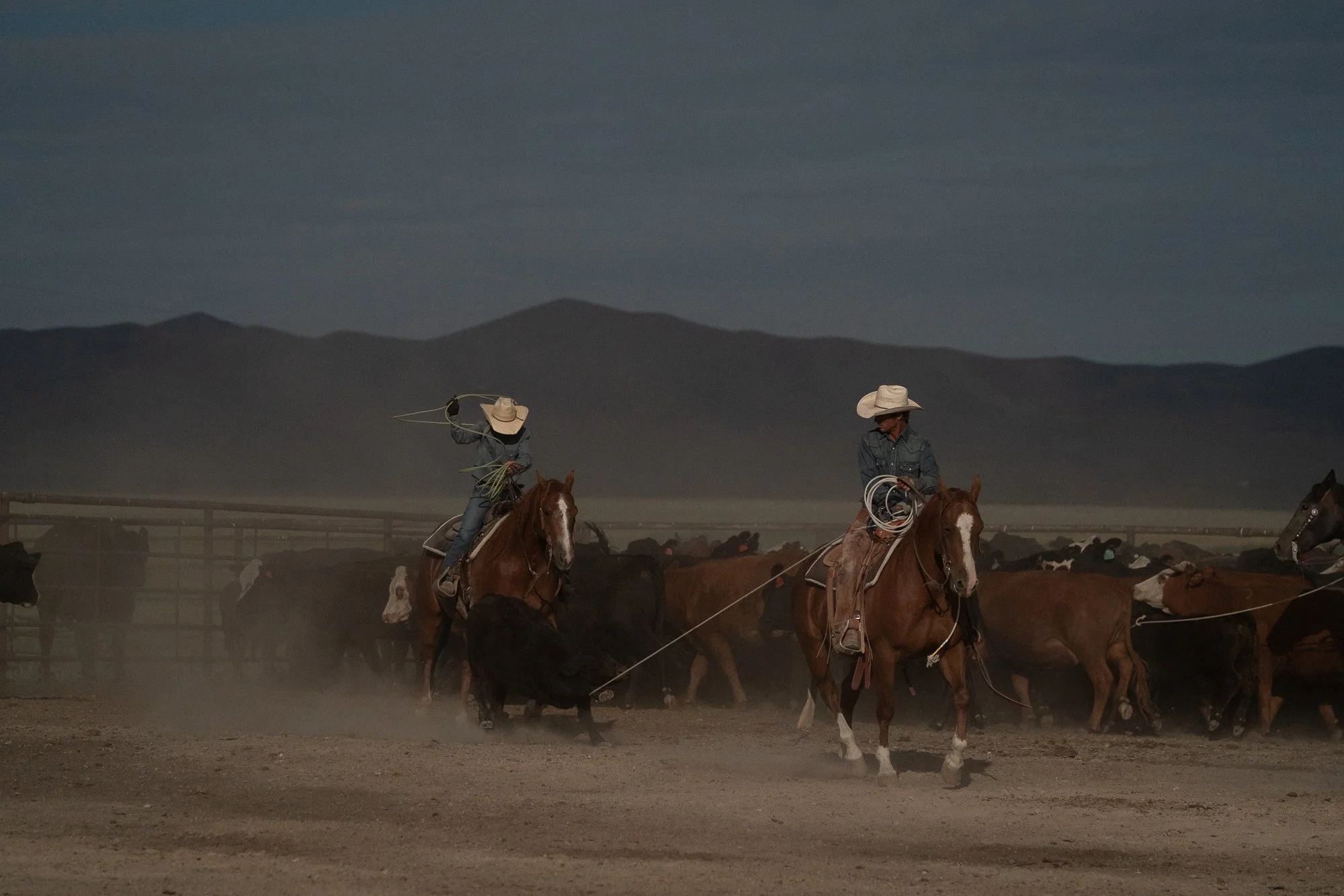 Two buckaroos on horseback roping cattle in a dusty ranch pen, with a mountain range in the background.