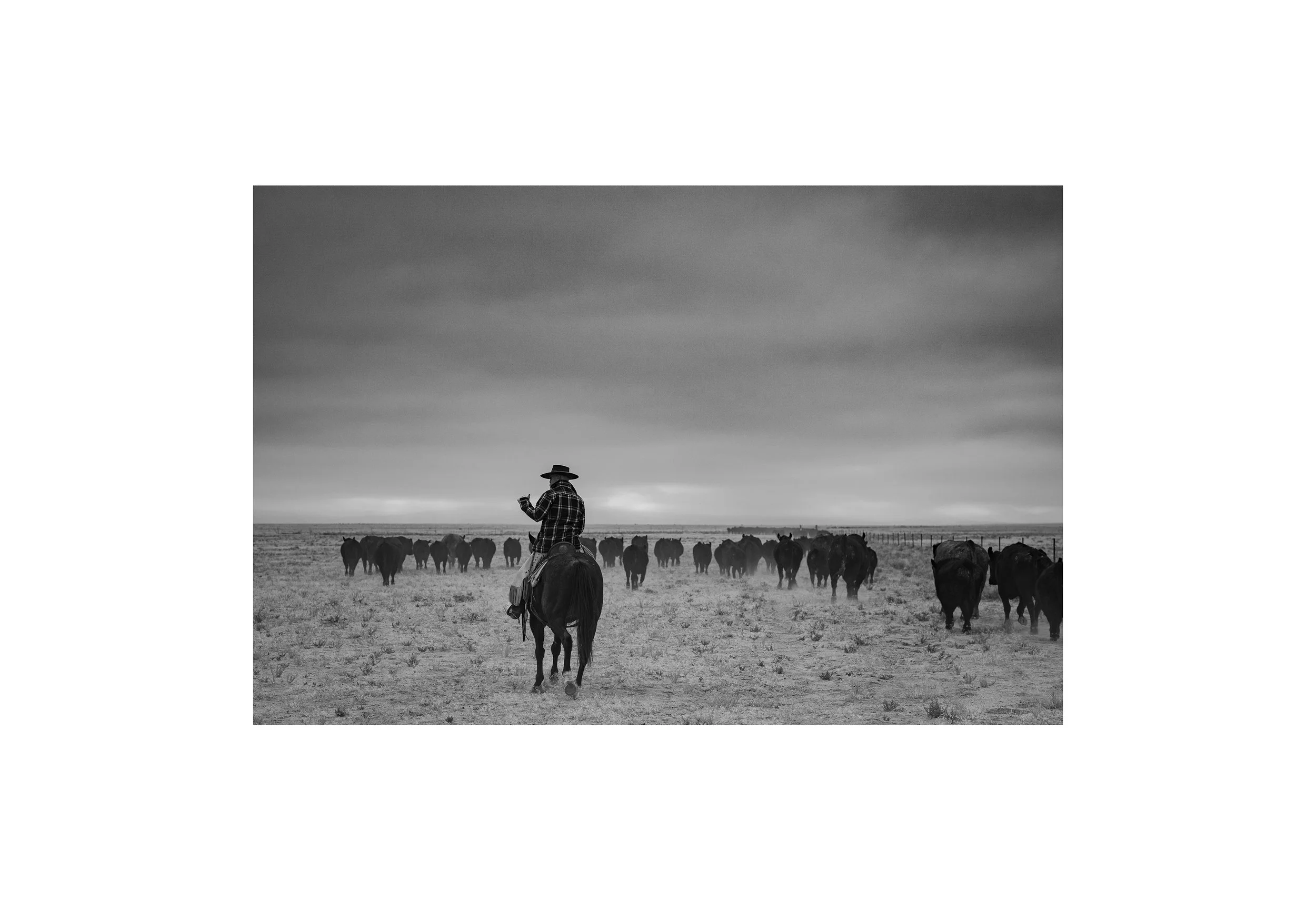 Photography print of a Great Basin cowboy on the C-Punch Ranch in Nevada