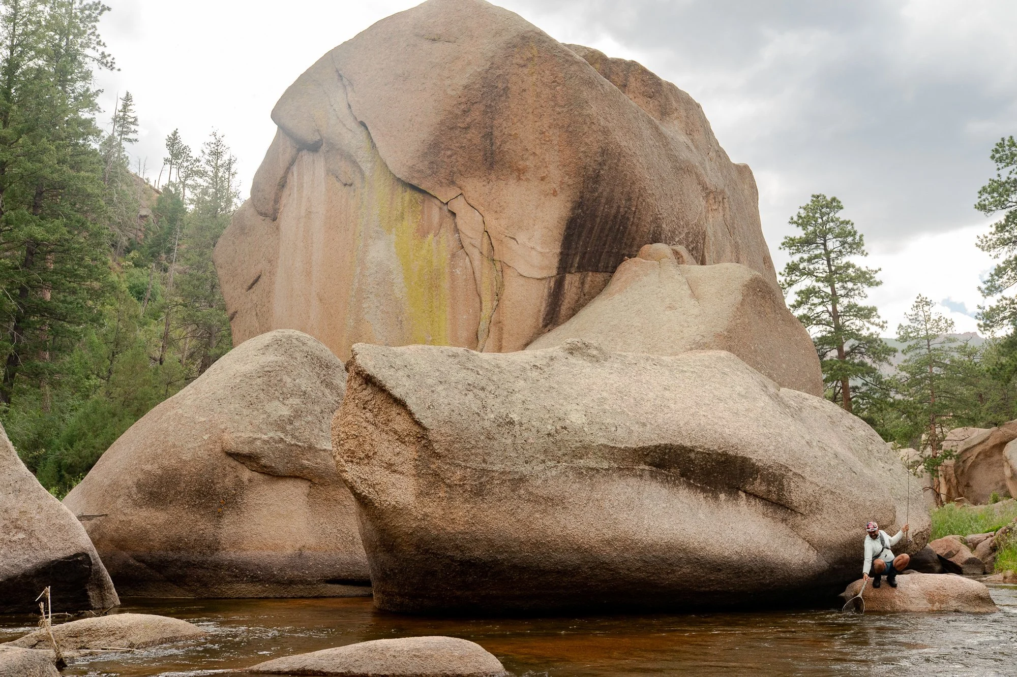 A fly fisherman nets a trout while standing next to a massive boulder on the South Platte River in Colorado