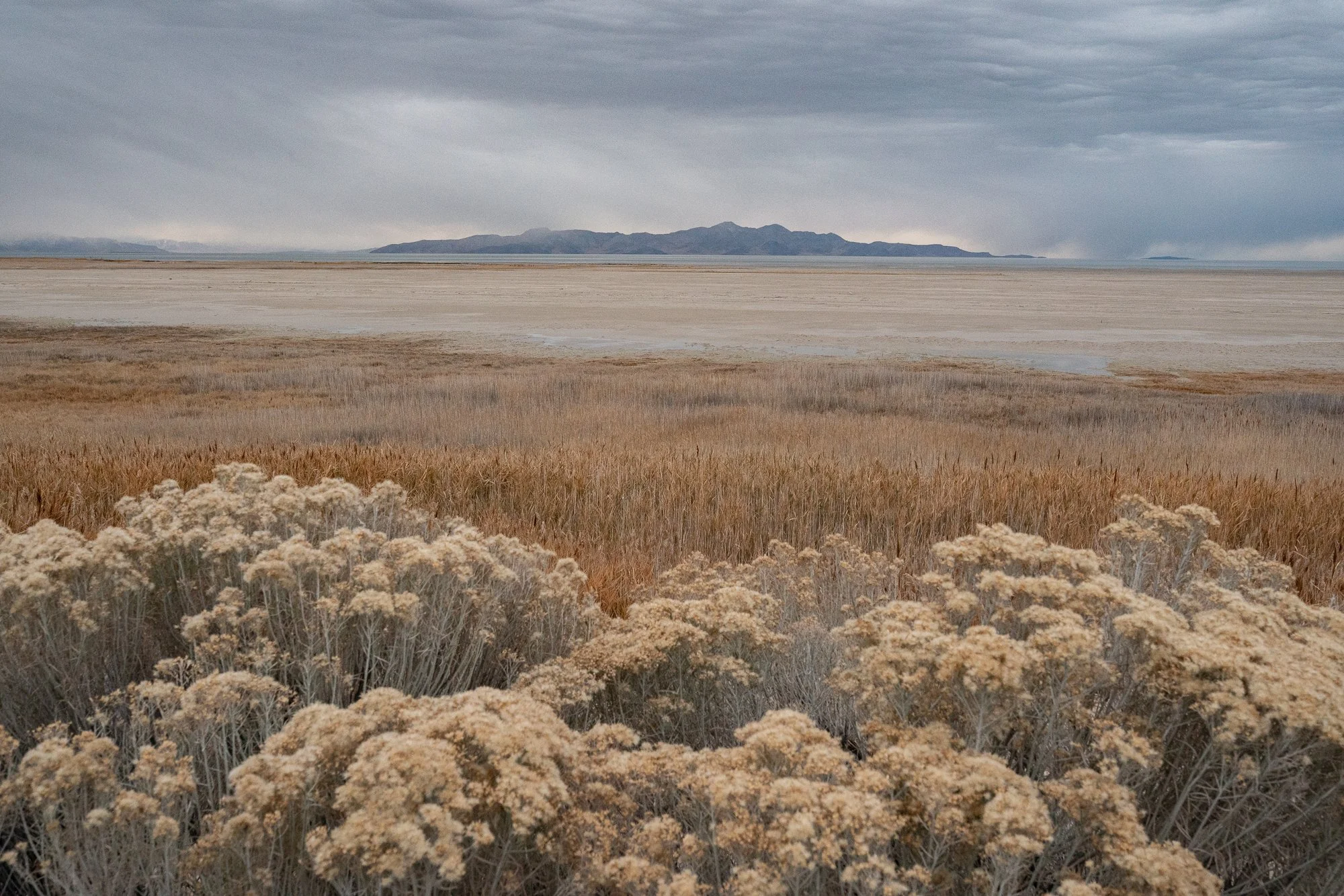 Dry grass and pale soil in the foreground, with a wide mountain range in the distance under an overcast sky.