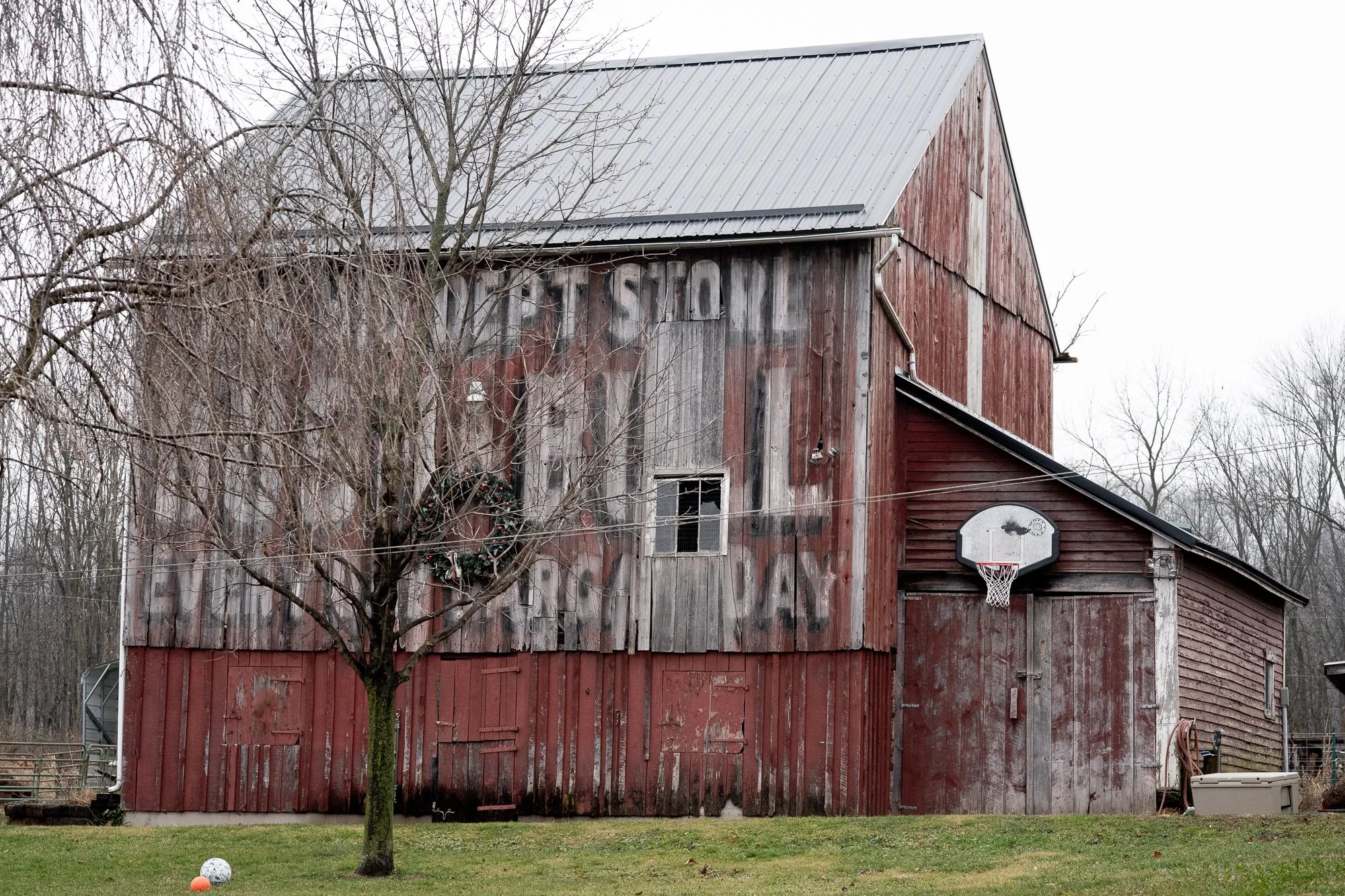 Basketball hoop mounted on a red barn with balls in the grass nearby