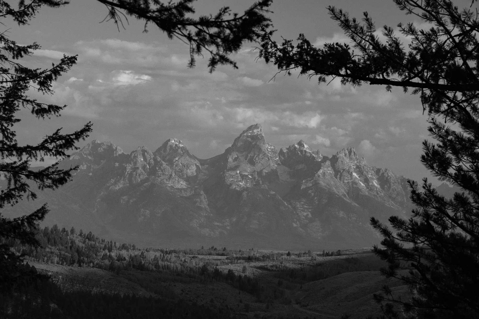 Grand Teton mountain range rising above the Wyoming landscape