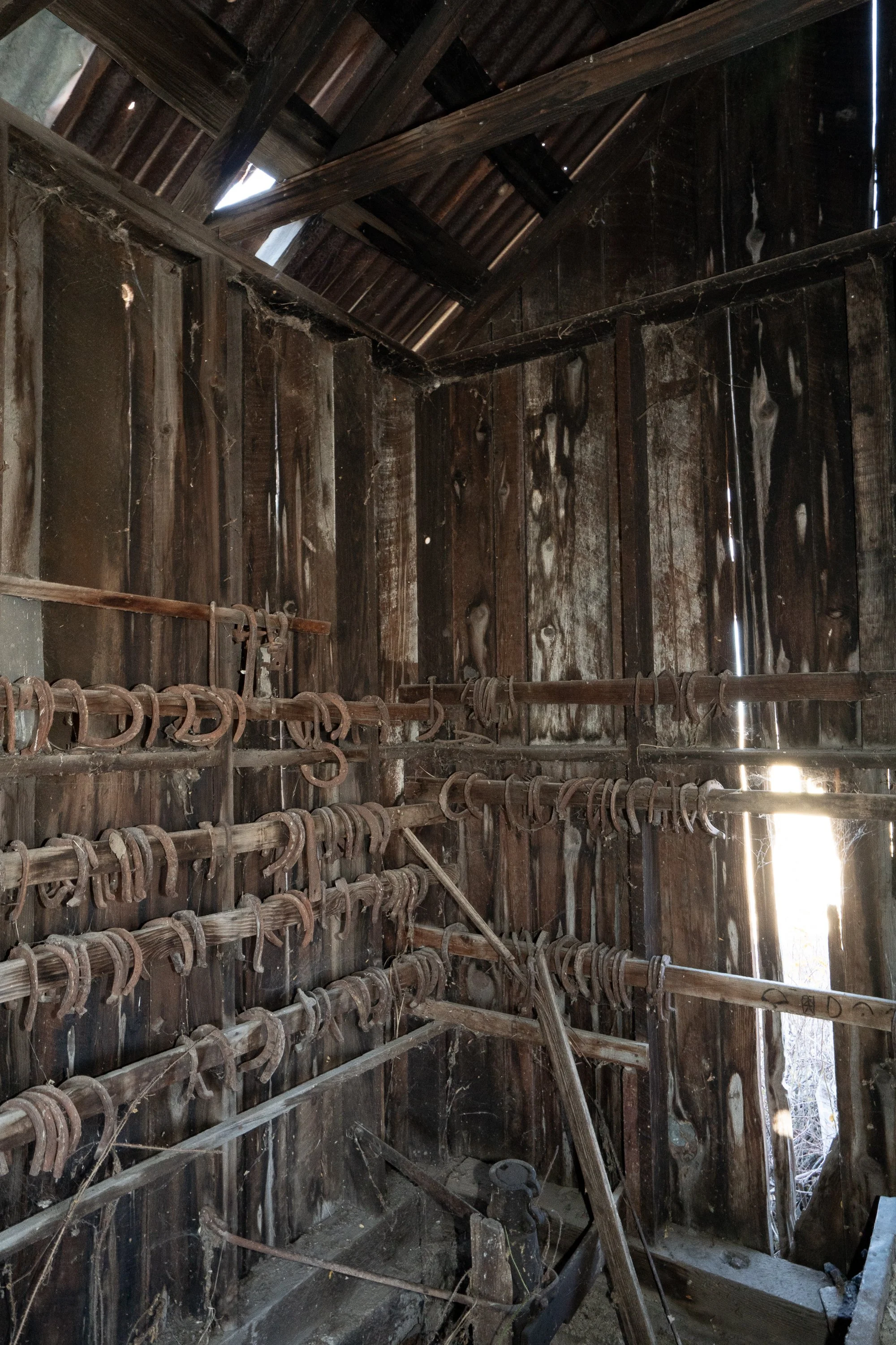 Interior of a weathered wooden ranch building with rows of horseshoes hanging from rough timber racks and daylight entering through gaps in the plank walls.