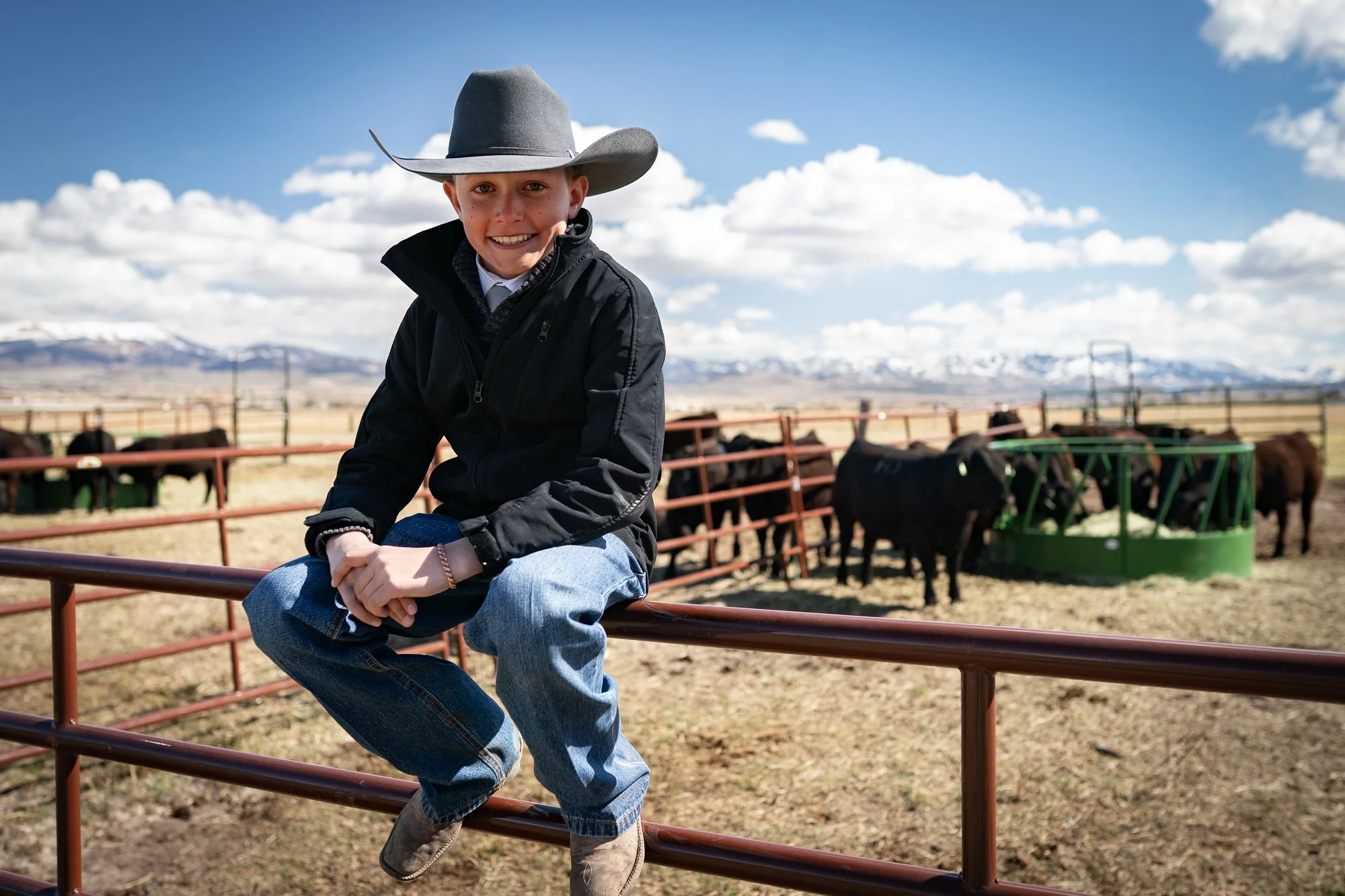 Young boy in a cowboy hat sitting on a fence near cattle pens at a Nevada bull sale