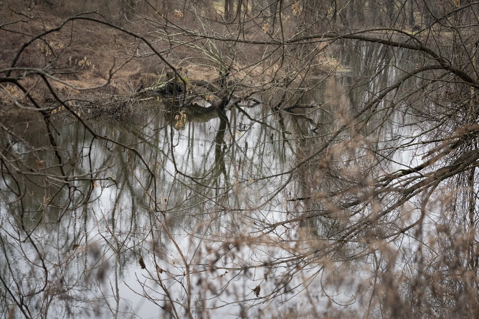 Abstract fine art nature photography