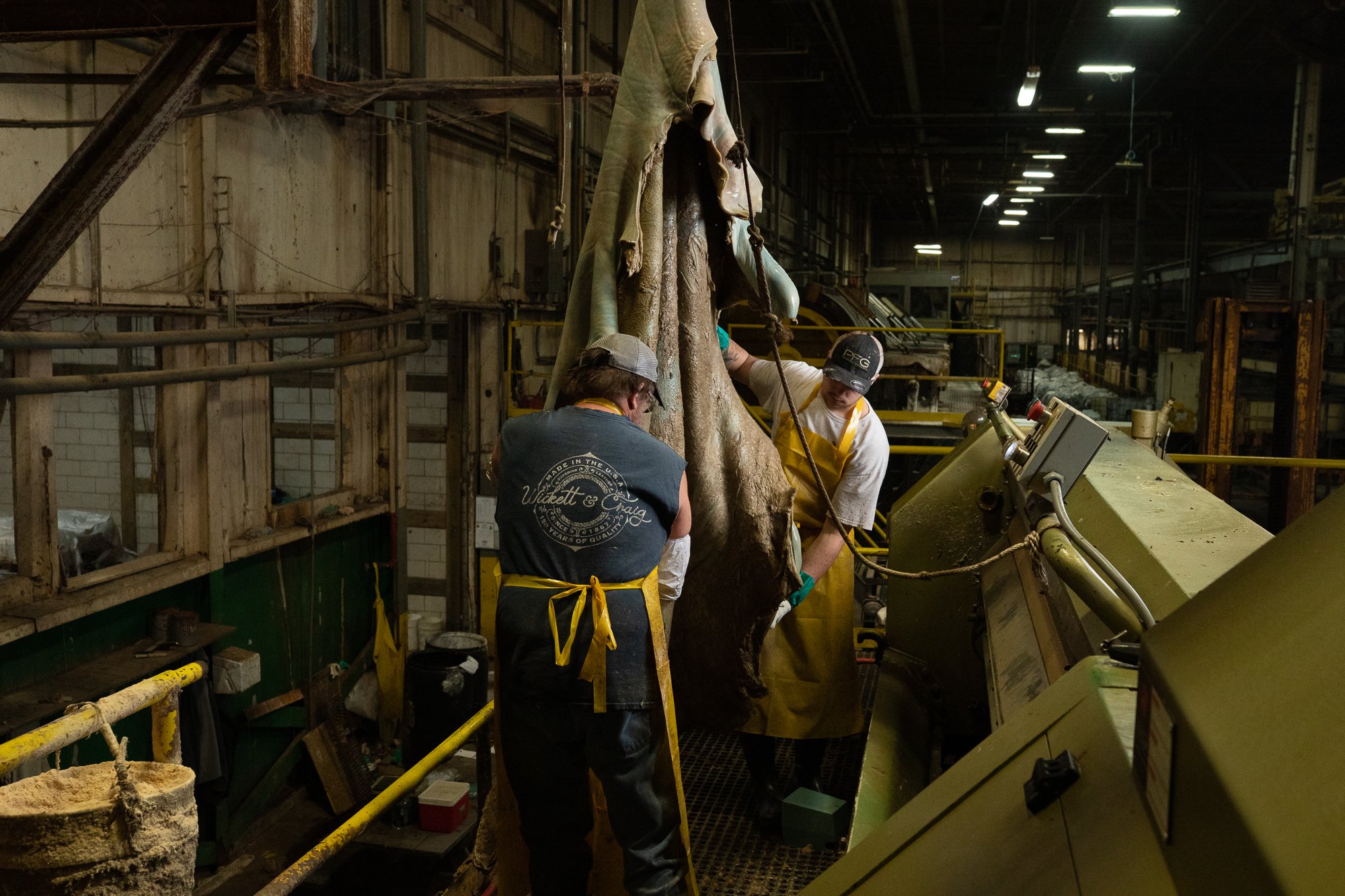 Two workers handle a suspended hide beside industrial machinery at Wickett & Craig