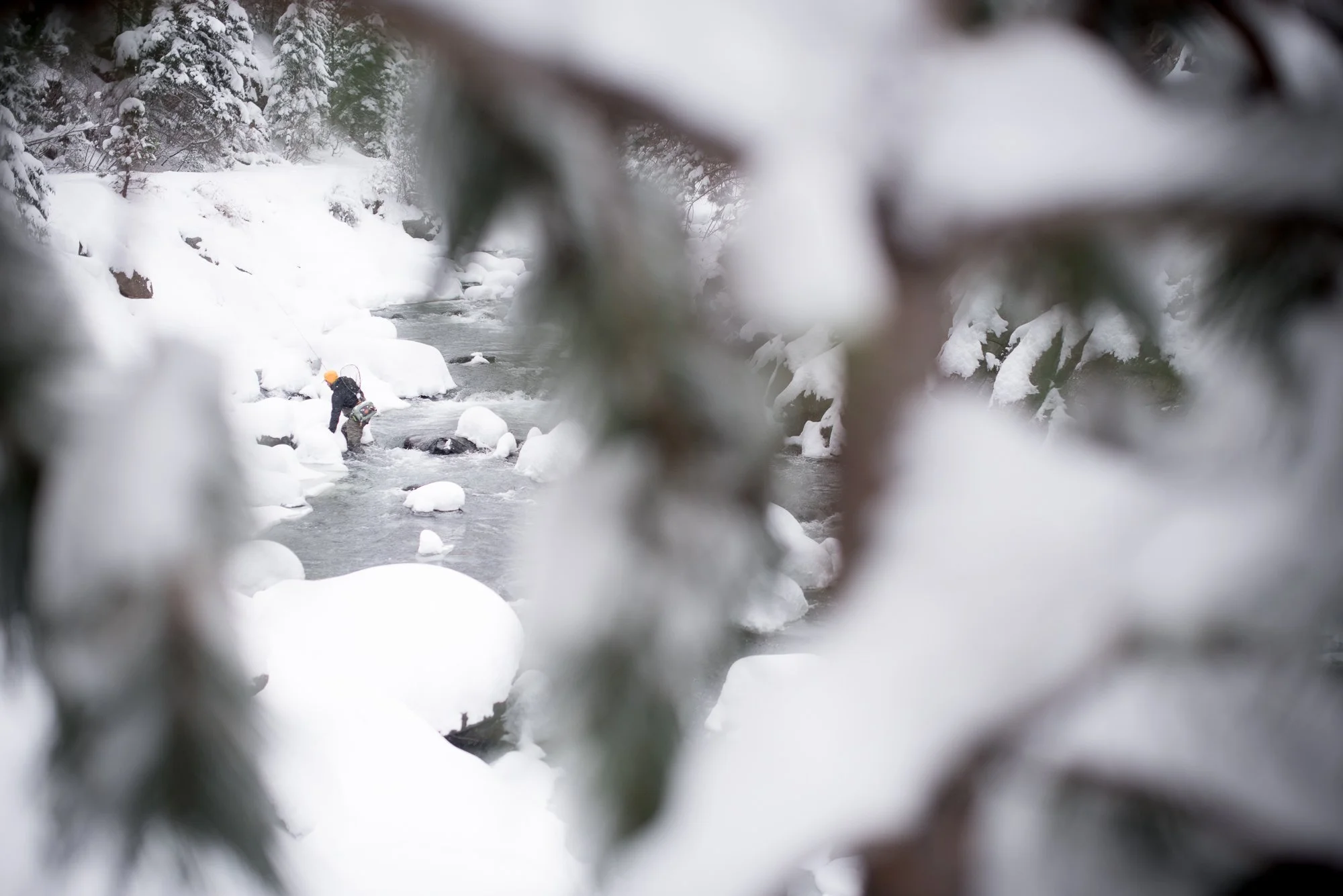 A fisherman stands in Clear Creek framed by snow-covered trees during winter.
