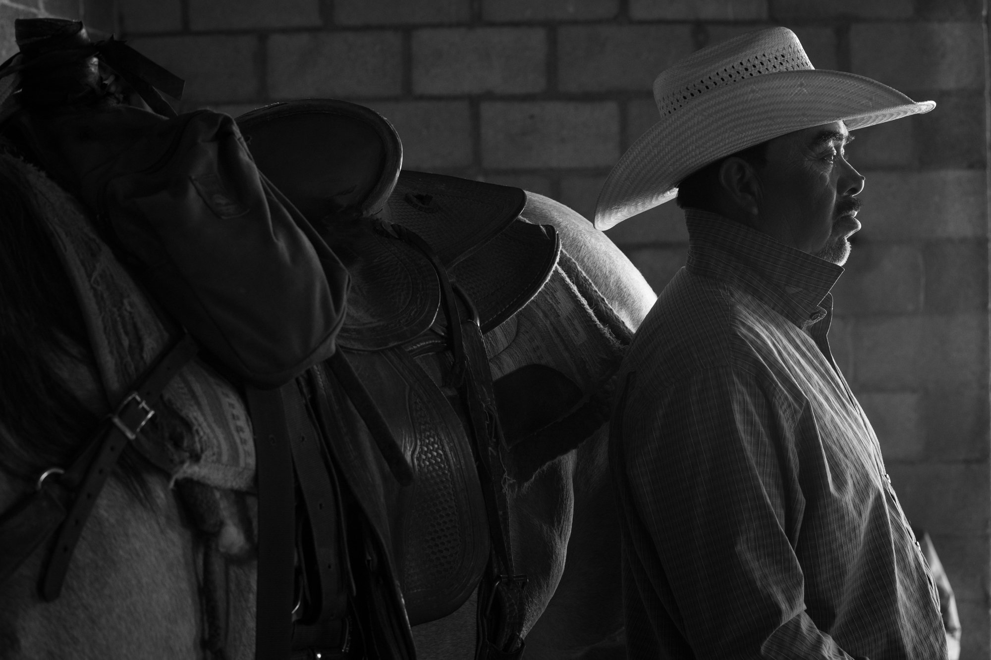 Cowboy stands beside a saddled horse inside the barn at Magnum Feedyard in Colorado