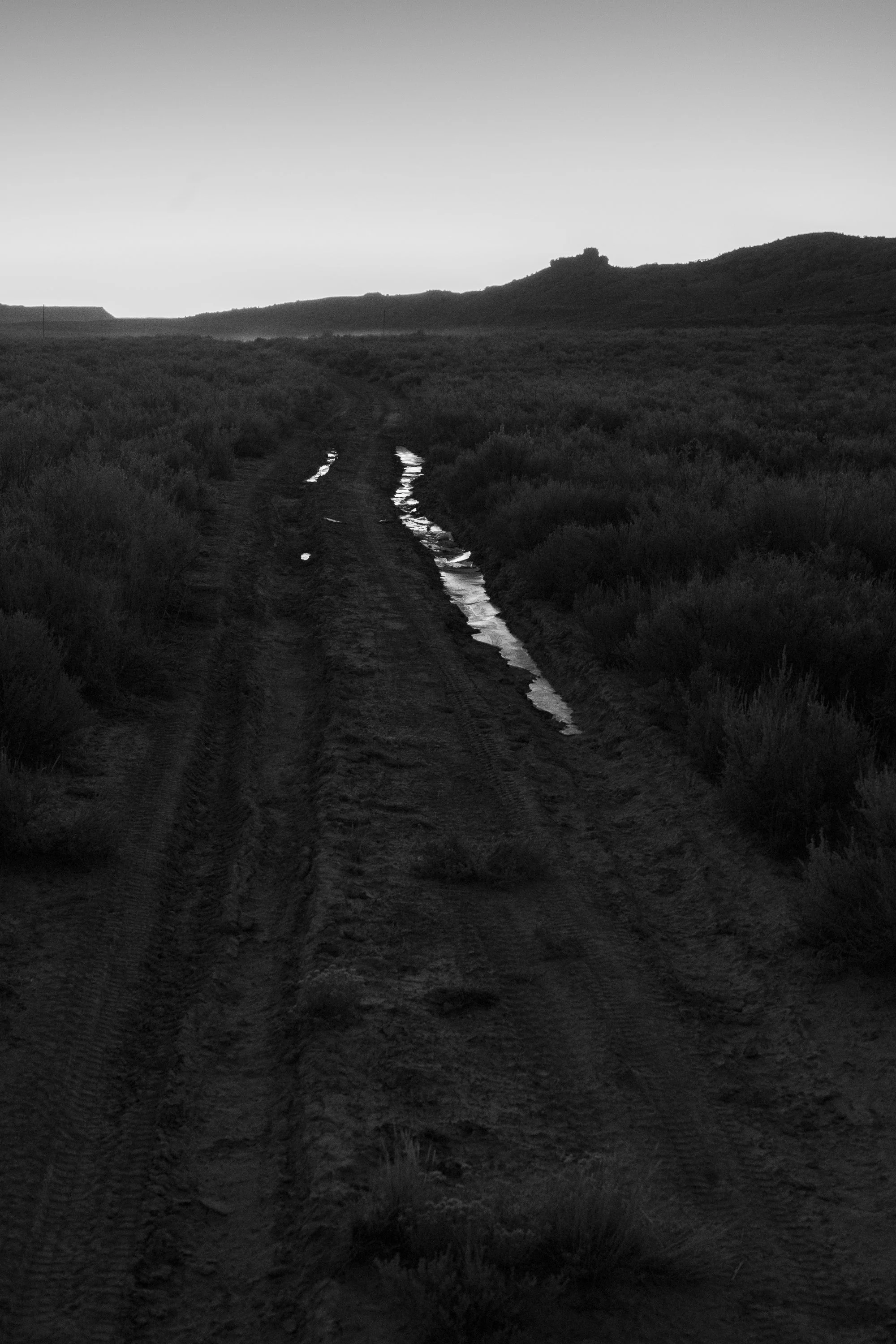 Dirt road winding through sagebrush and open Wyoming countryside