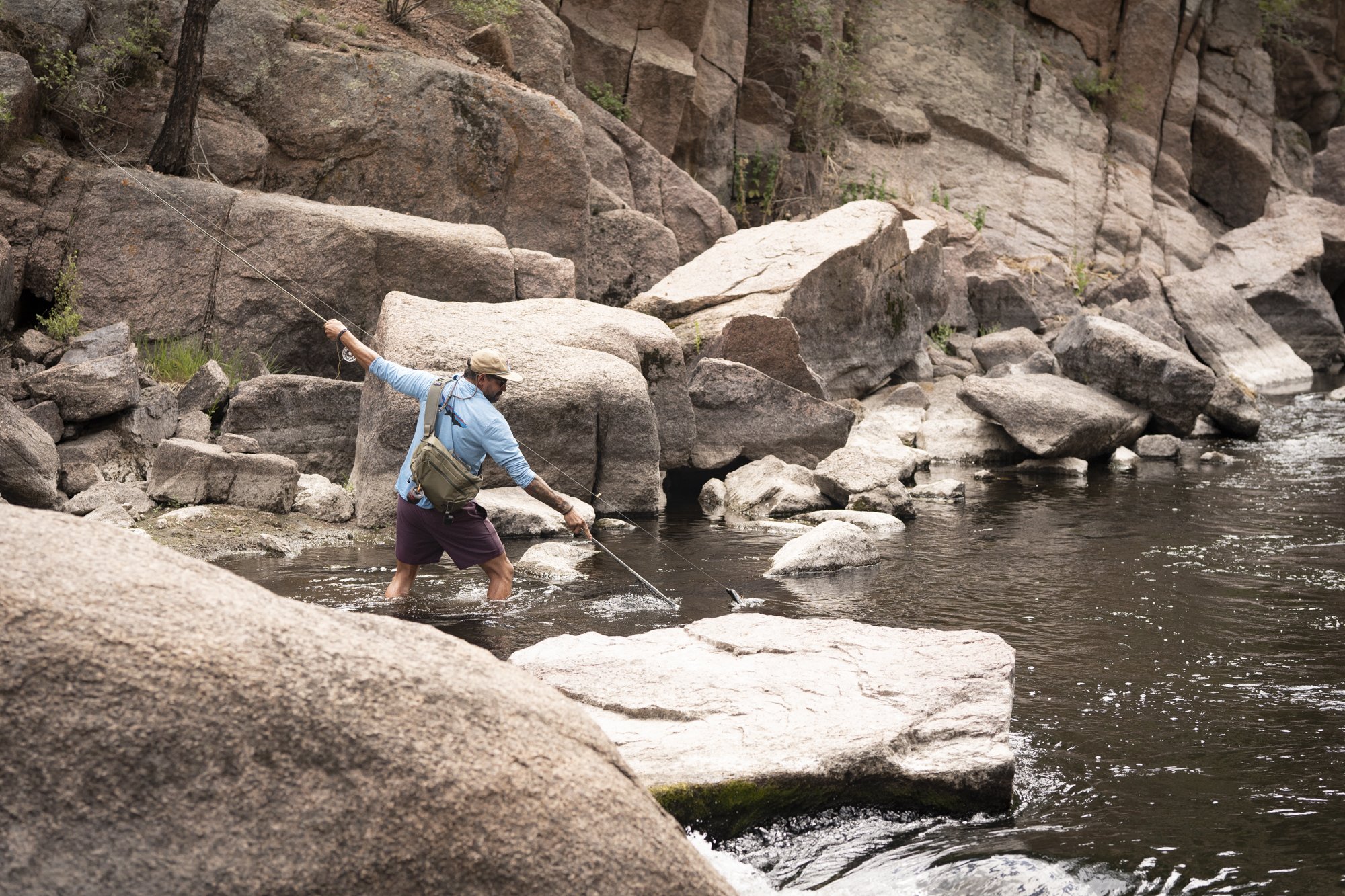 A fly fisherman on a beautiful rocky section of the South Platte River nets a fish in Cheesman Canyon, Colorado