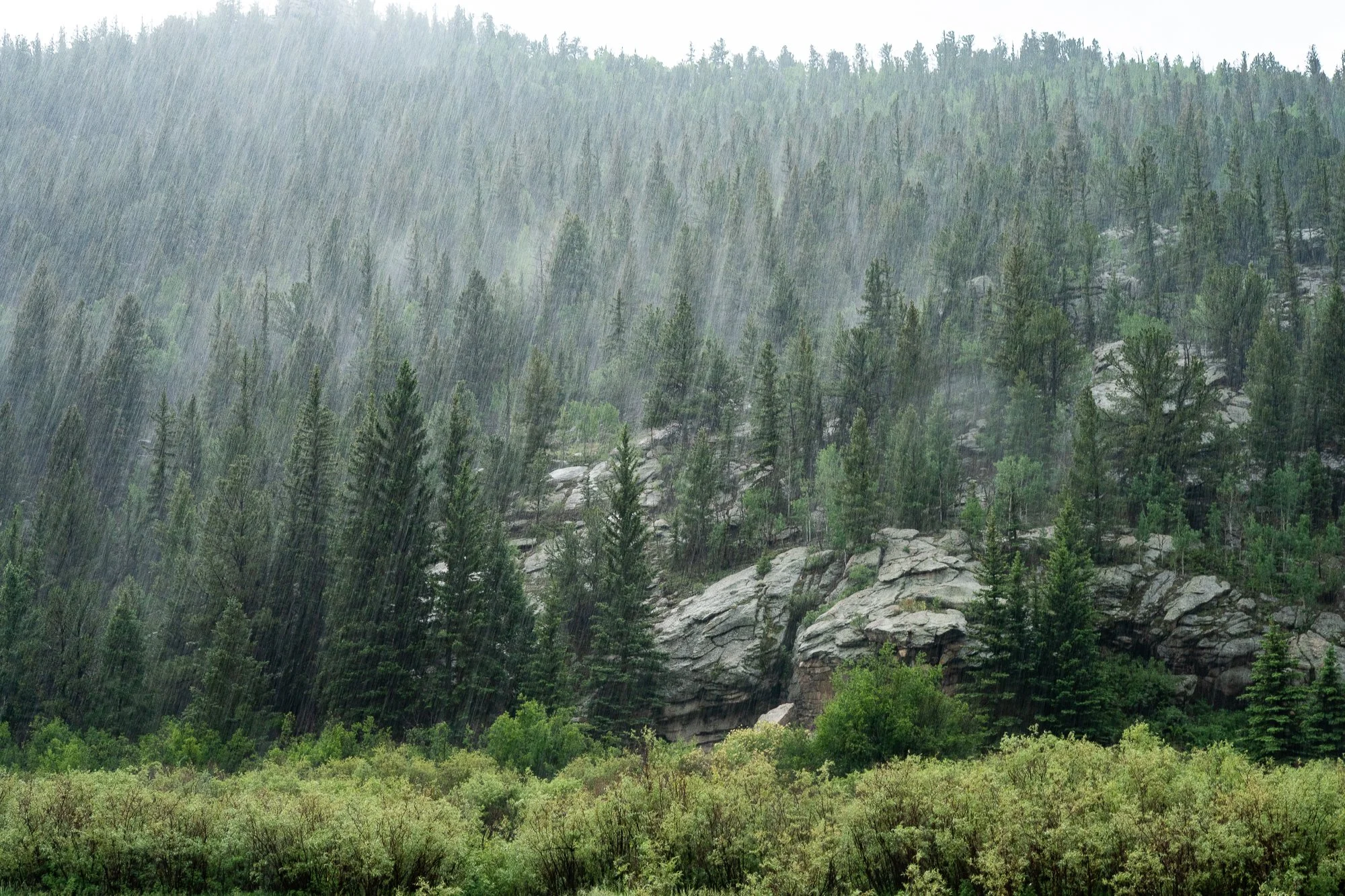 A rain storm in 11 Mile Canyon