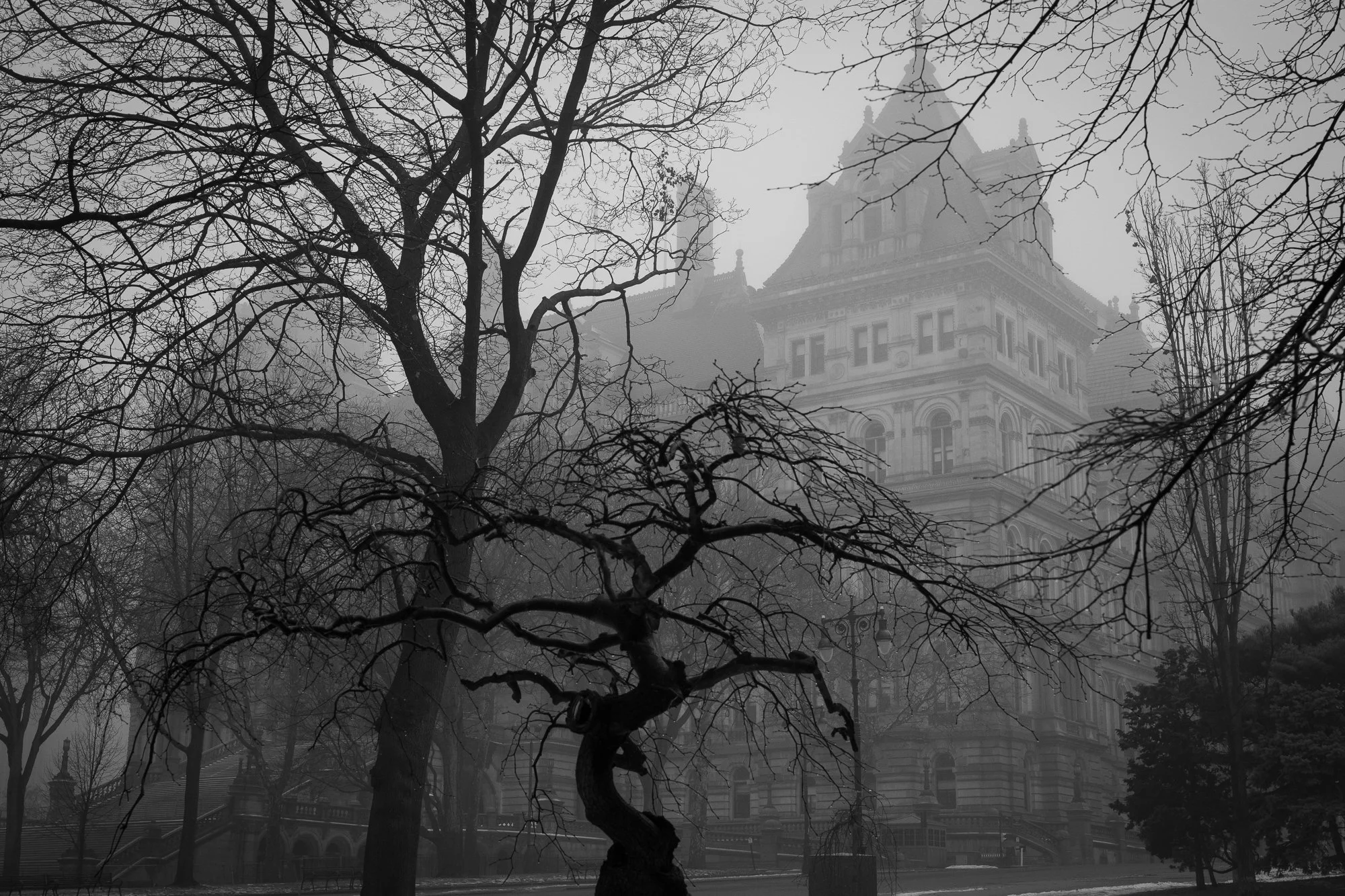 Black and white photograph of the New York State Capitol seen through bare trees in winter fog, Albany, New York
