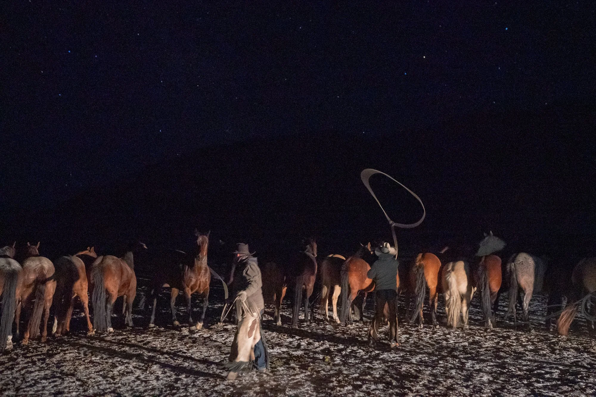 Cowboys work with horses at night under a dark sky during ranch work at the ZX Ranch