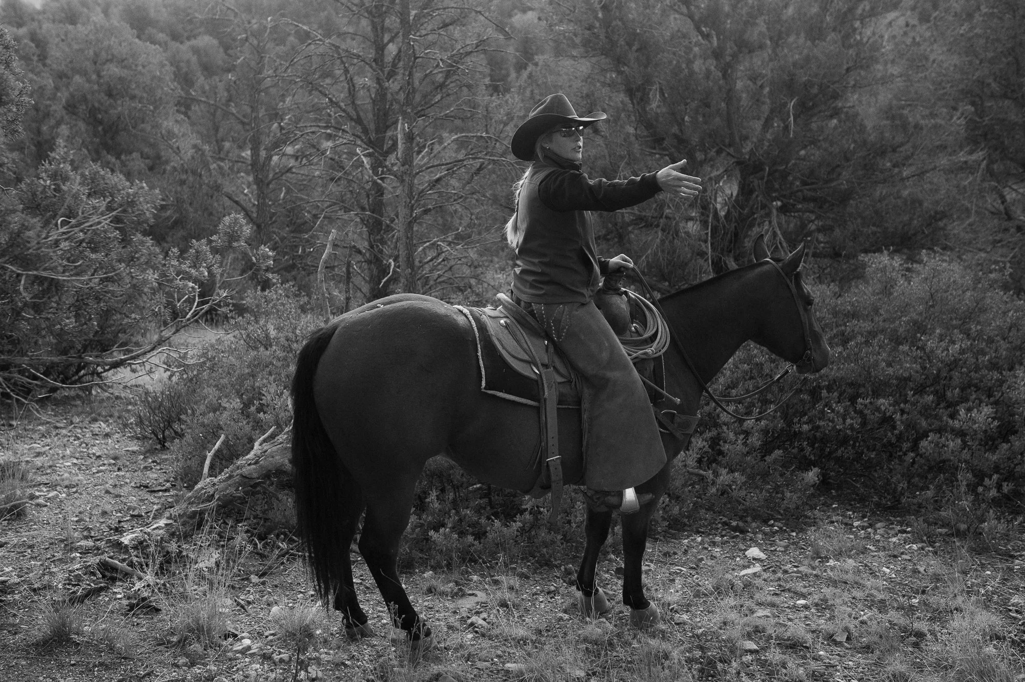 Photograph of a working Arizona cowgirl on her horse in a thick forest