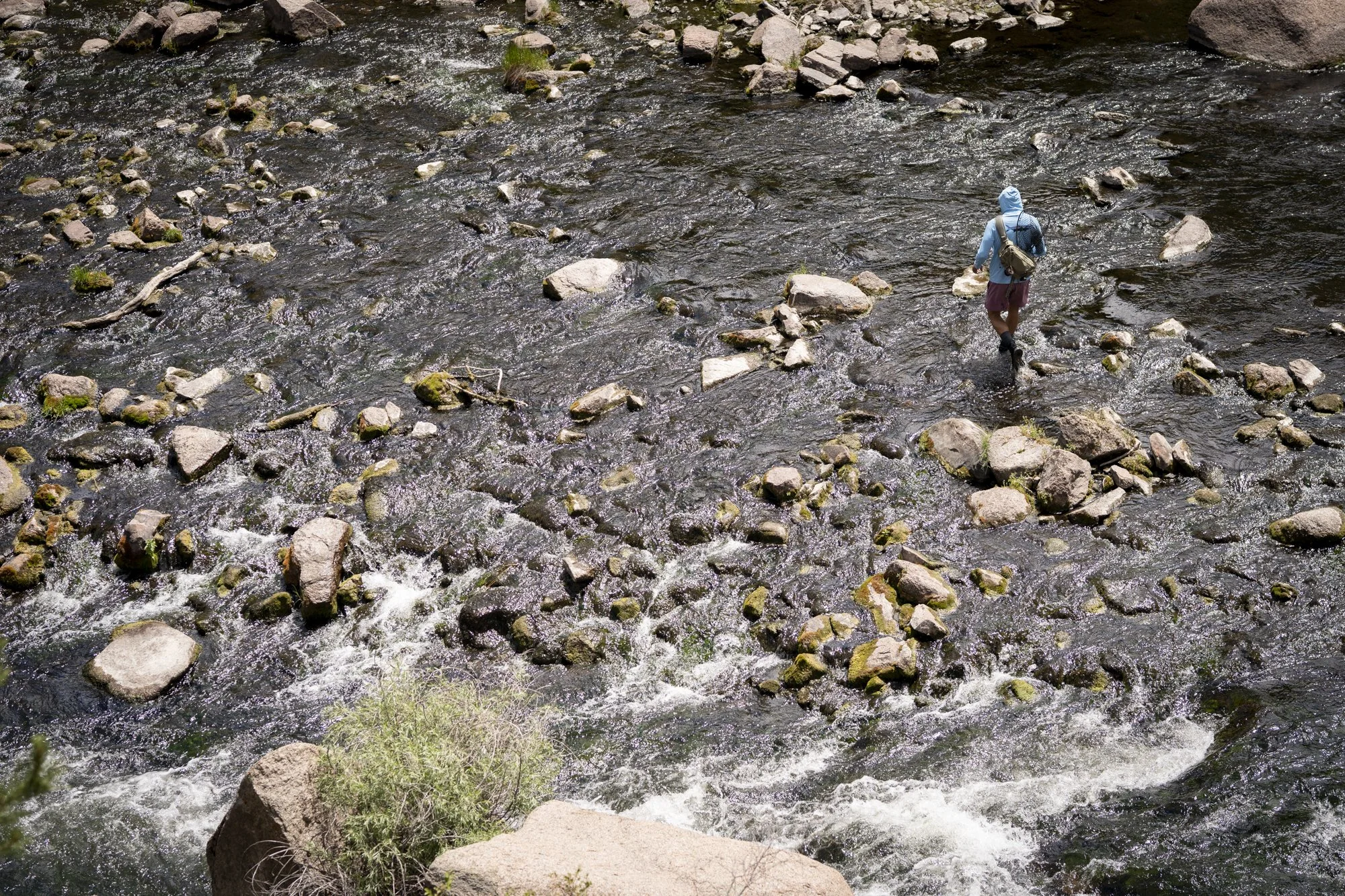 A fly fisherman wades through a beautiful section of the South Platte River in Cheesman Canyon, Colorado