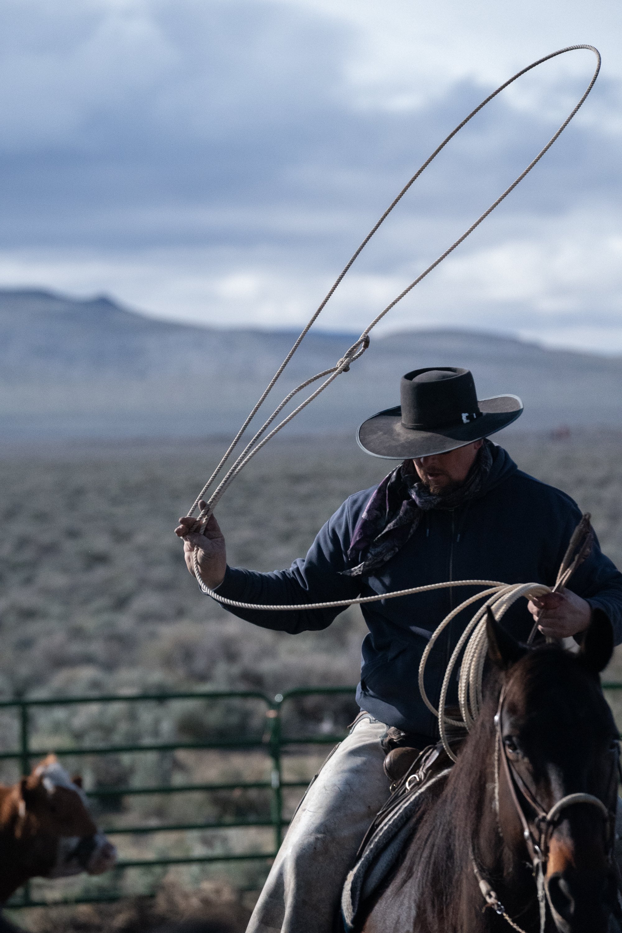 A cowboy on horseback holds a looped rope against the open ranch landscape near Paisley, Oregon