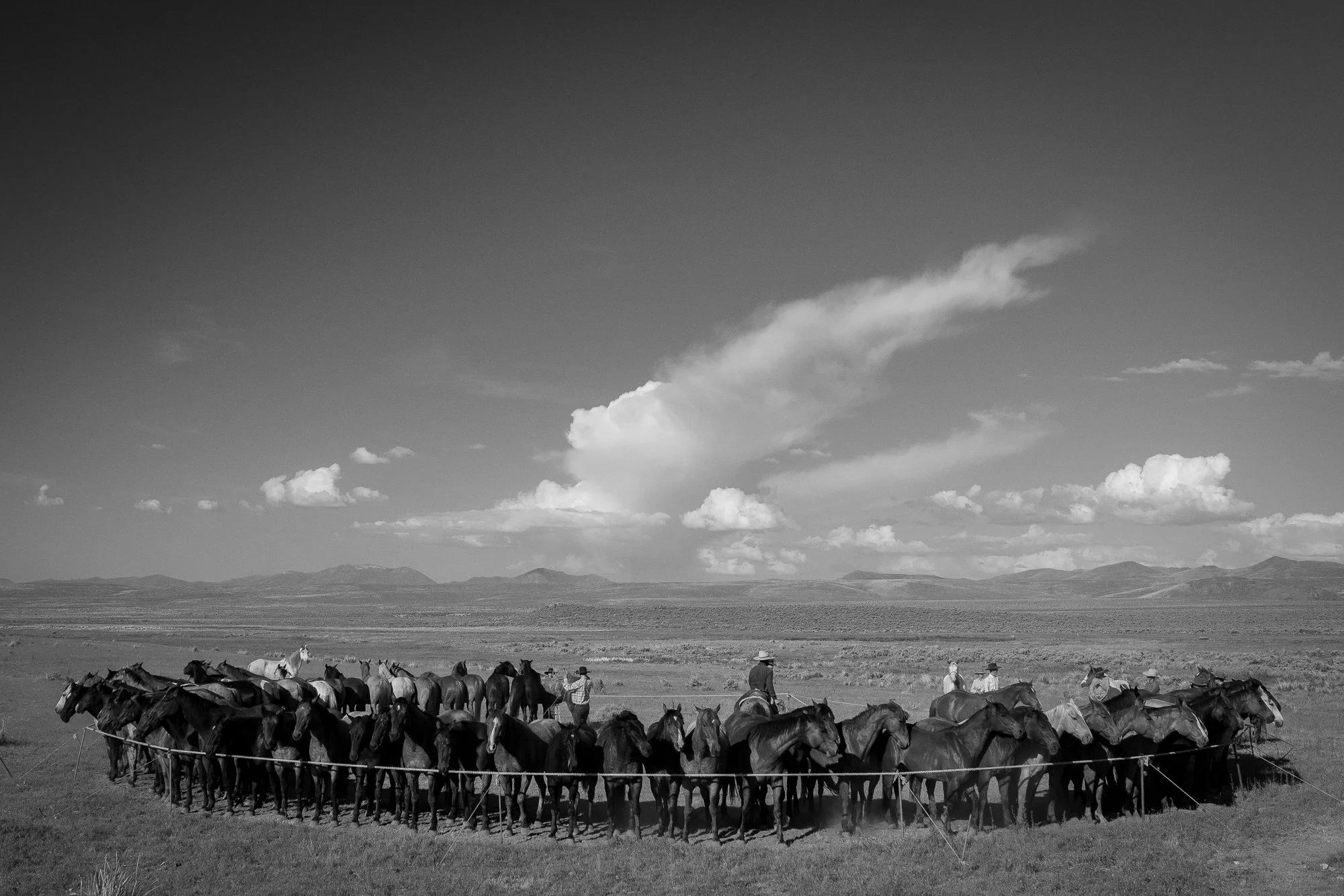 Cowboys on horseback gathered with a large horse herd in open ranch country beneath a wide sky