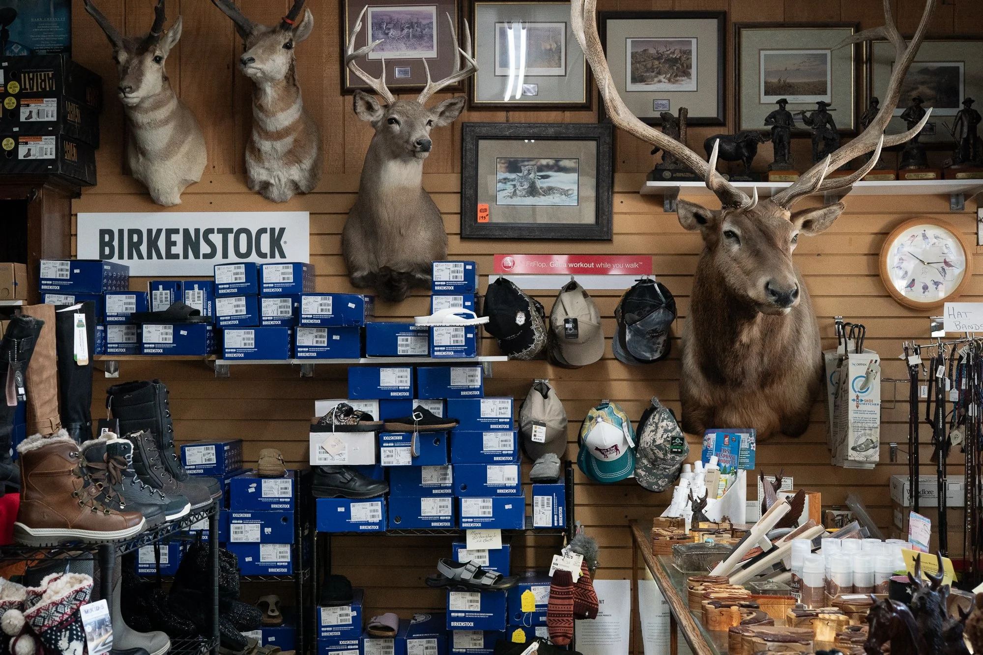 Western boots, stacked shoe boxes, hats and mounted animal heads displayed inside City Shoe & Saddle Shop in Douglas, Wyoming.