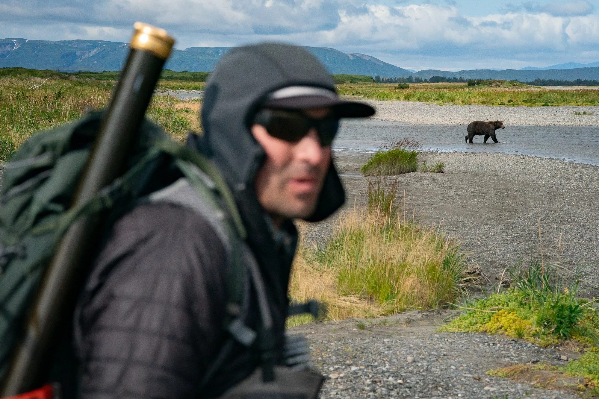 Fly fisherman carrying a rod with a grizzly bear walking across the river behind him