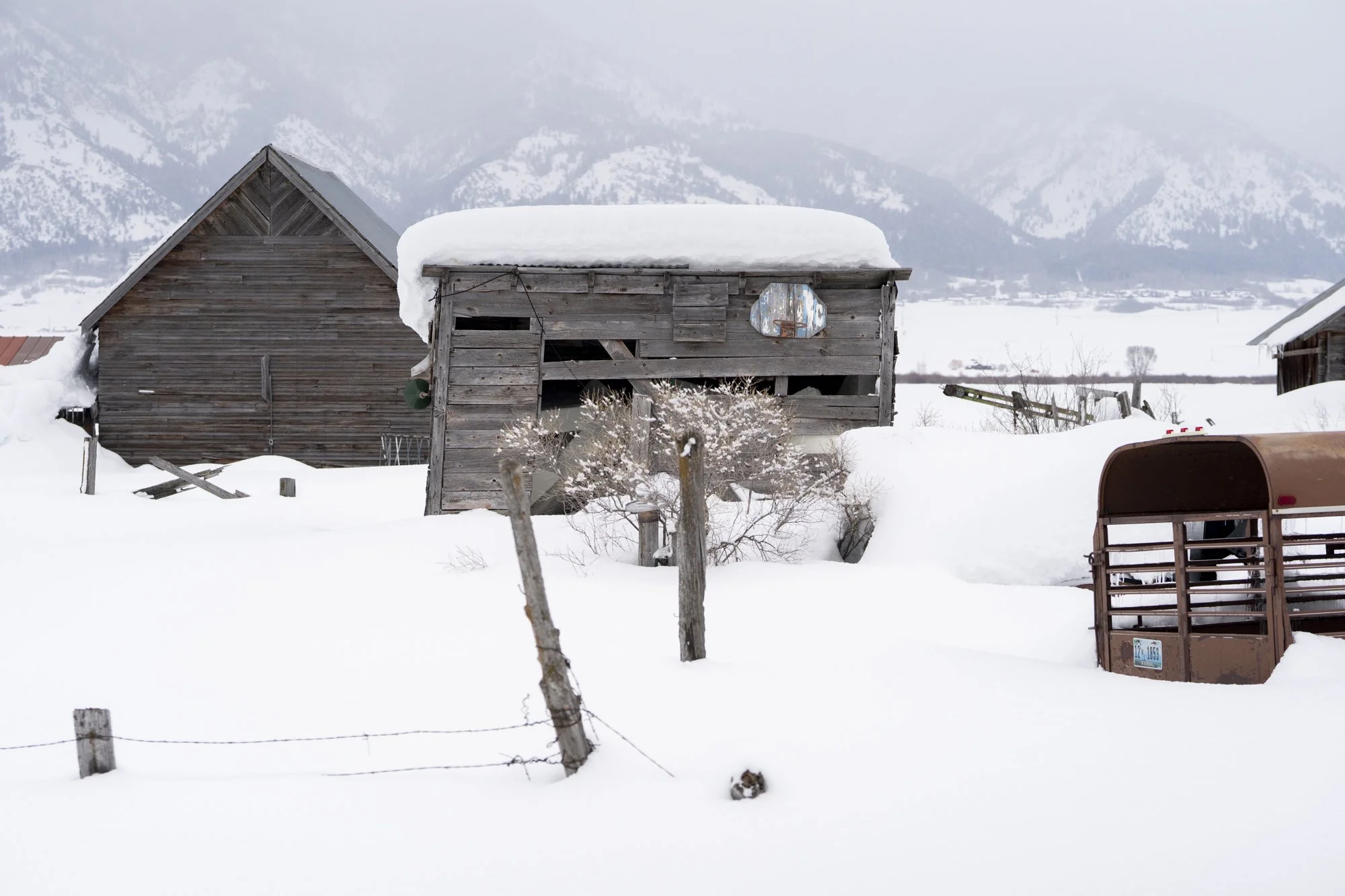 Photograph of a basketball hoop hanging on a ranch barn covered in snow
