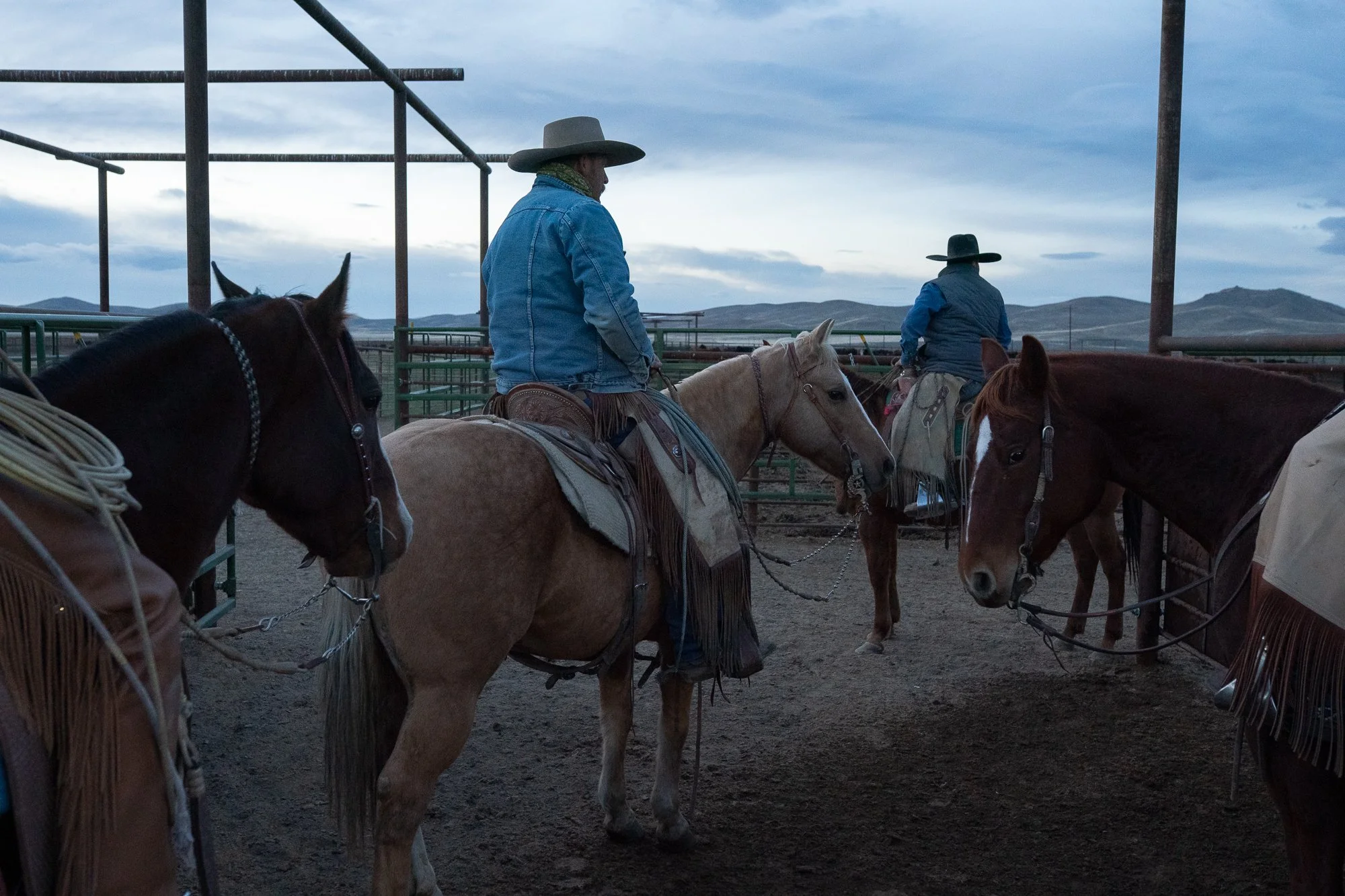 Buckaroos on horseback in cattle pens at sunrise at TS Ranch