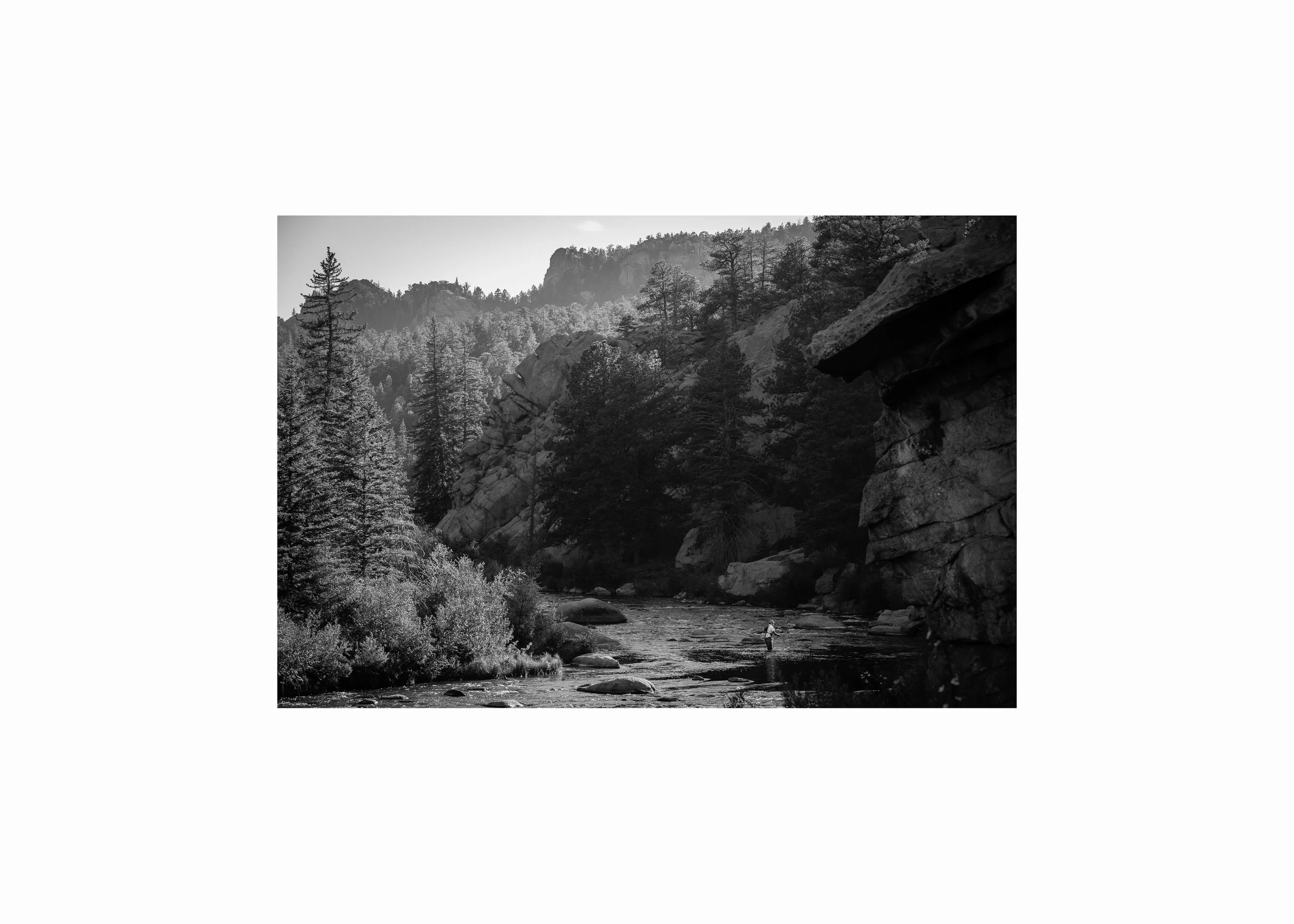 Black and white photograph of a lone fly fisherman surrounded by towering granite cliffs and pine forest on a Colorado river.