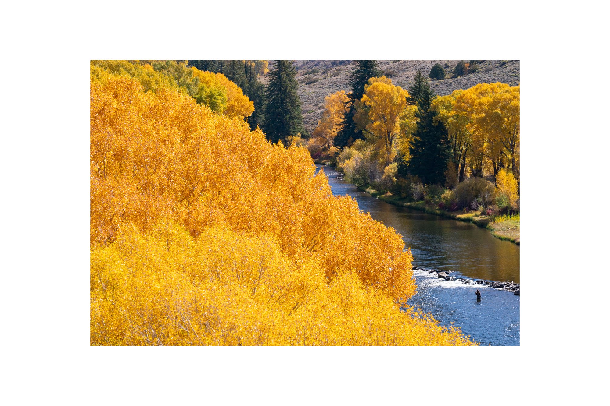 Colorado-fly-fishing-print-00235.jpeg